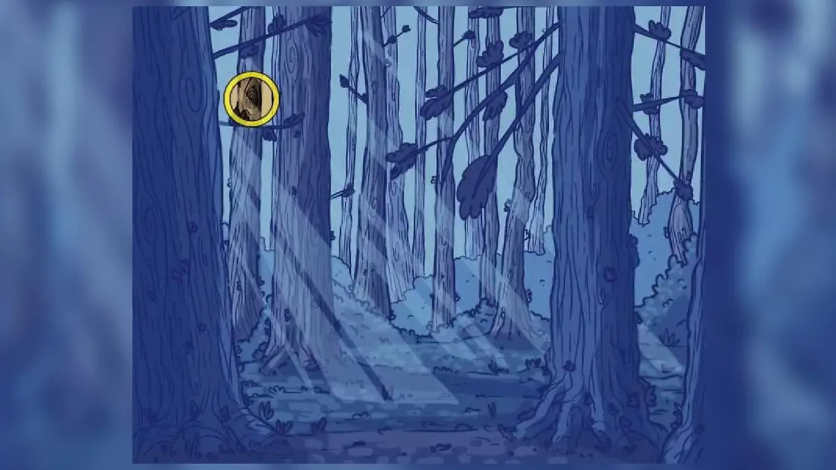 Lösung Suchbild