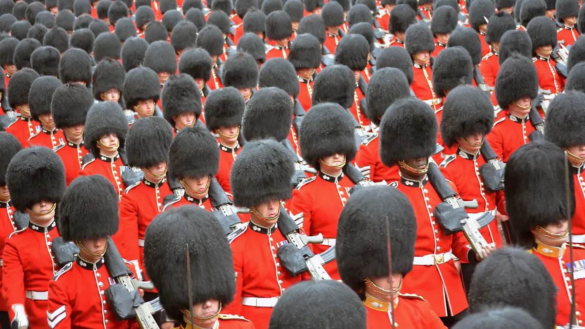 ARCHIV - 06.05.2023, Großbritannien, London: Mitglieder der königlichen Leibgarde ziehen nach der Krönungszeremonie in einer Prozession zum Buckingham-Palast. Zur Krönung von König Charles III. sind zahlreiche Gäste gekommen. (zu dpa: «Britischer Schauspieler Stephen Fry fordert Aus für Bärenfellmützen») Foto: Christoph Meyer/dpa +++ dpa-Bildfunk +++