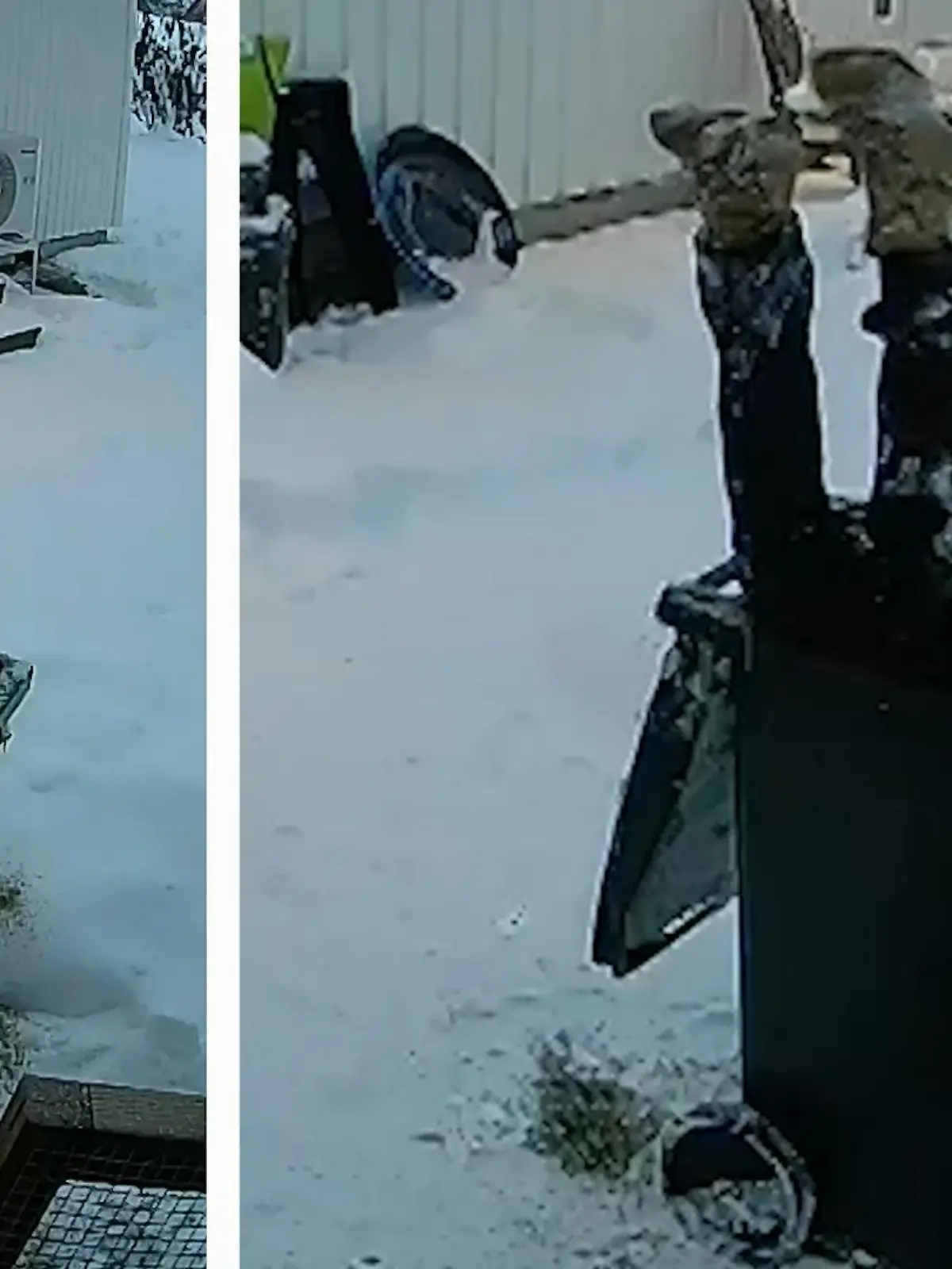 Diese Dame aus Schweden scheint etwas verloren zu haben. Denn, was sollte es wohl sonst mit dieser Mülltonnenakrobatik auf sich haben?! Wie das aussieht, erfahrt ihr im Video.