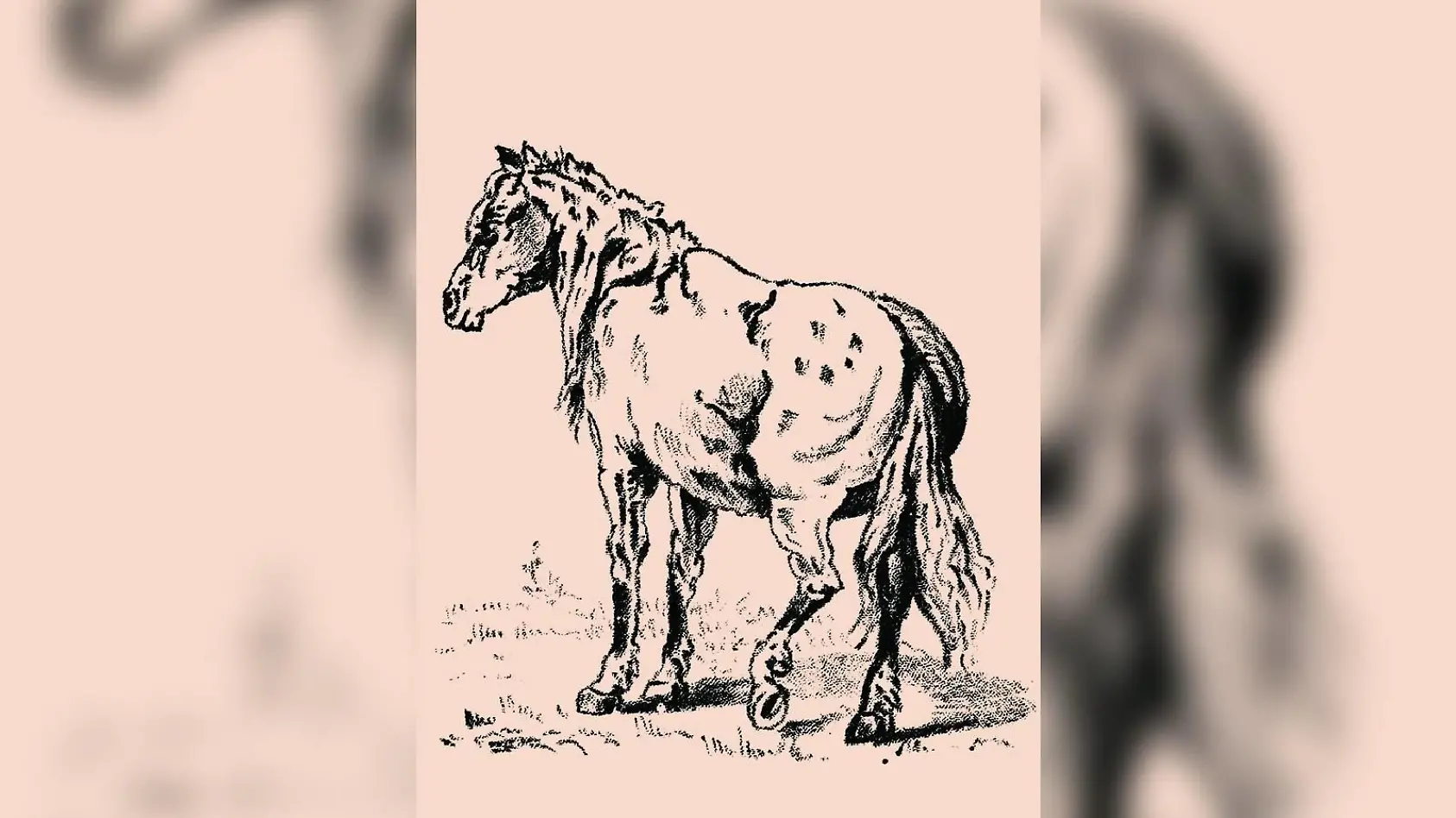 Wer findet den versteckten Mann?