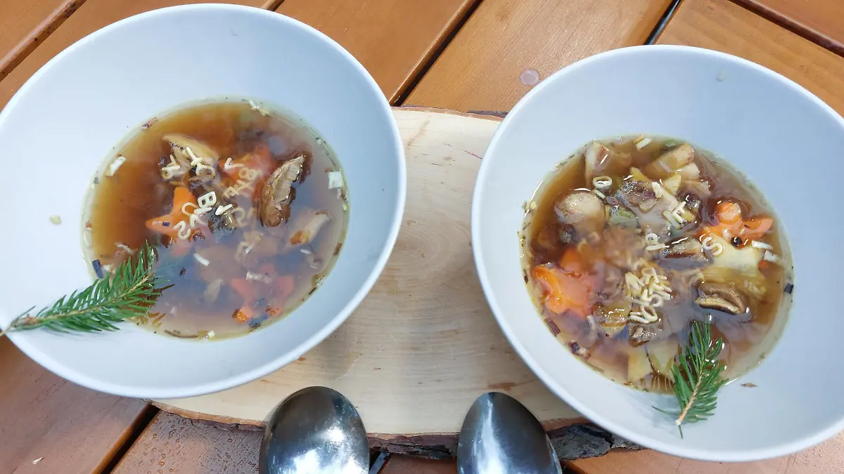 Die Tannennadelsuppe schmeckt nicht nur wunderbar waldig, sie ist auch sehr gesund.