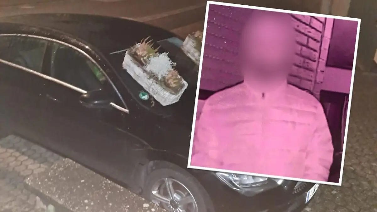 Eine Fotocollage mit einem Auto auf dessen Scheibe Blumenkästen stehen sowie einem Mann, dessen Gesicht unkenntlich gemacht ist.