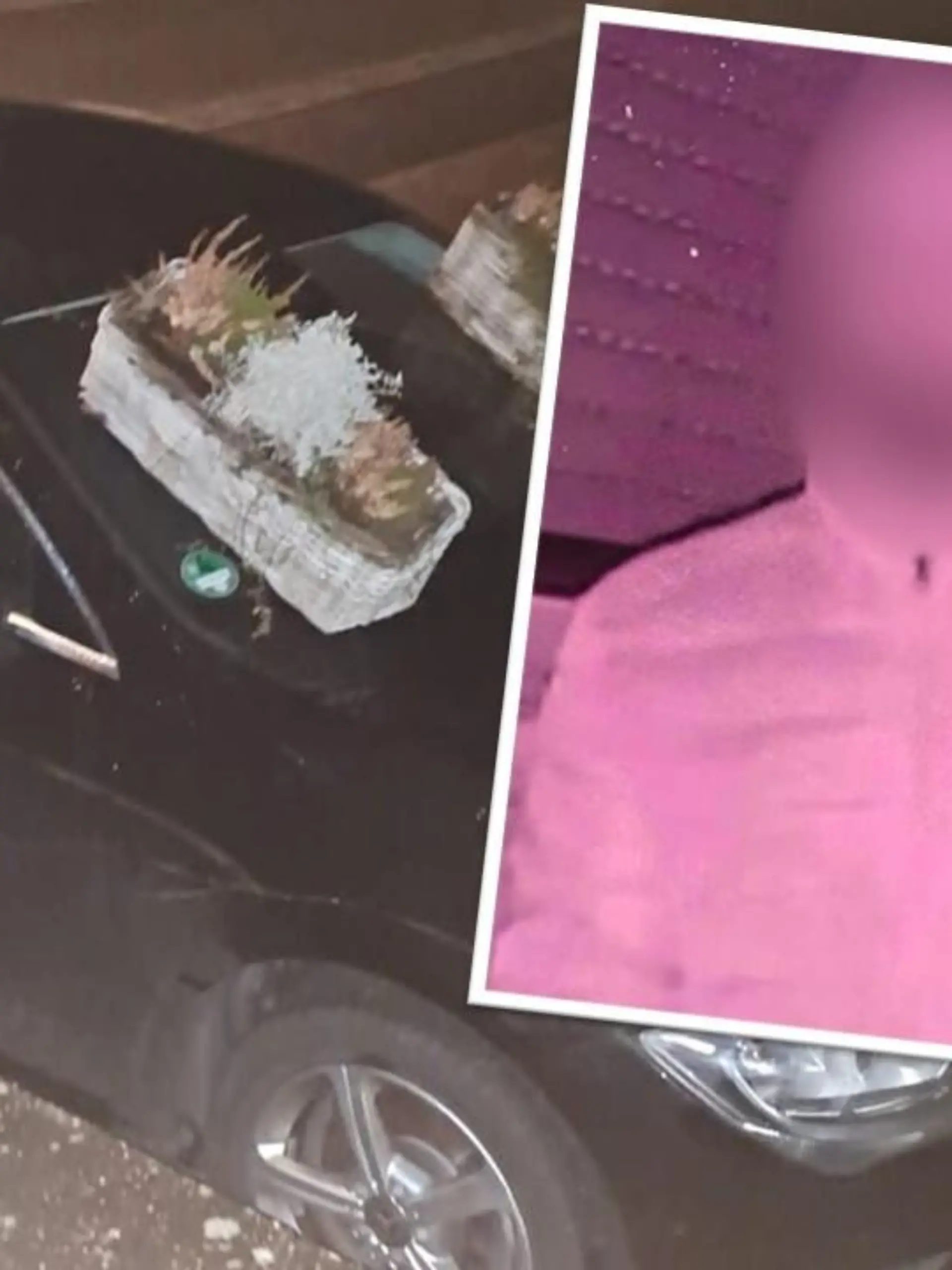 Eine Fotocollage mit einem Auto auf dessen Scheibe Blumenkästen stehen sowie einem Mann, dessen Gesicht unkenntlich gemacht ist.