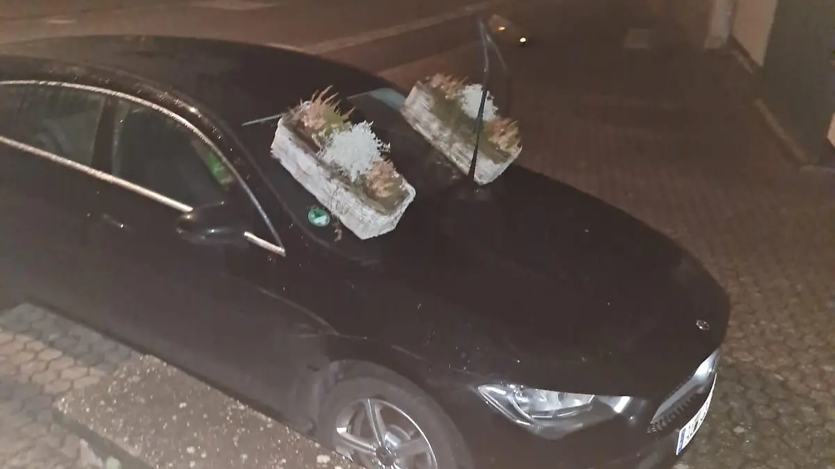 Blumenkästen stehen auf einer Motorhaube eines Autos.