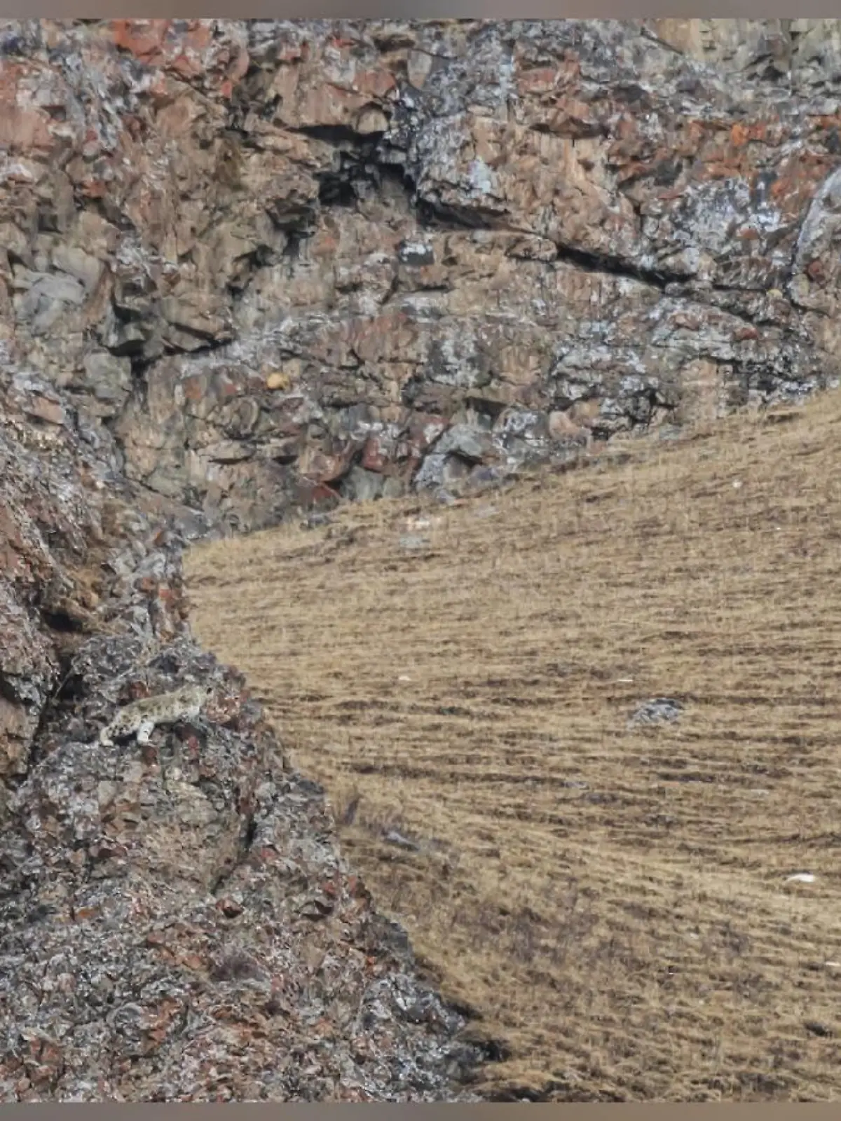 Suchbild