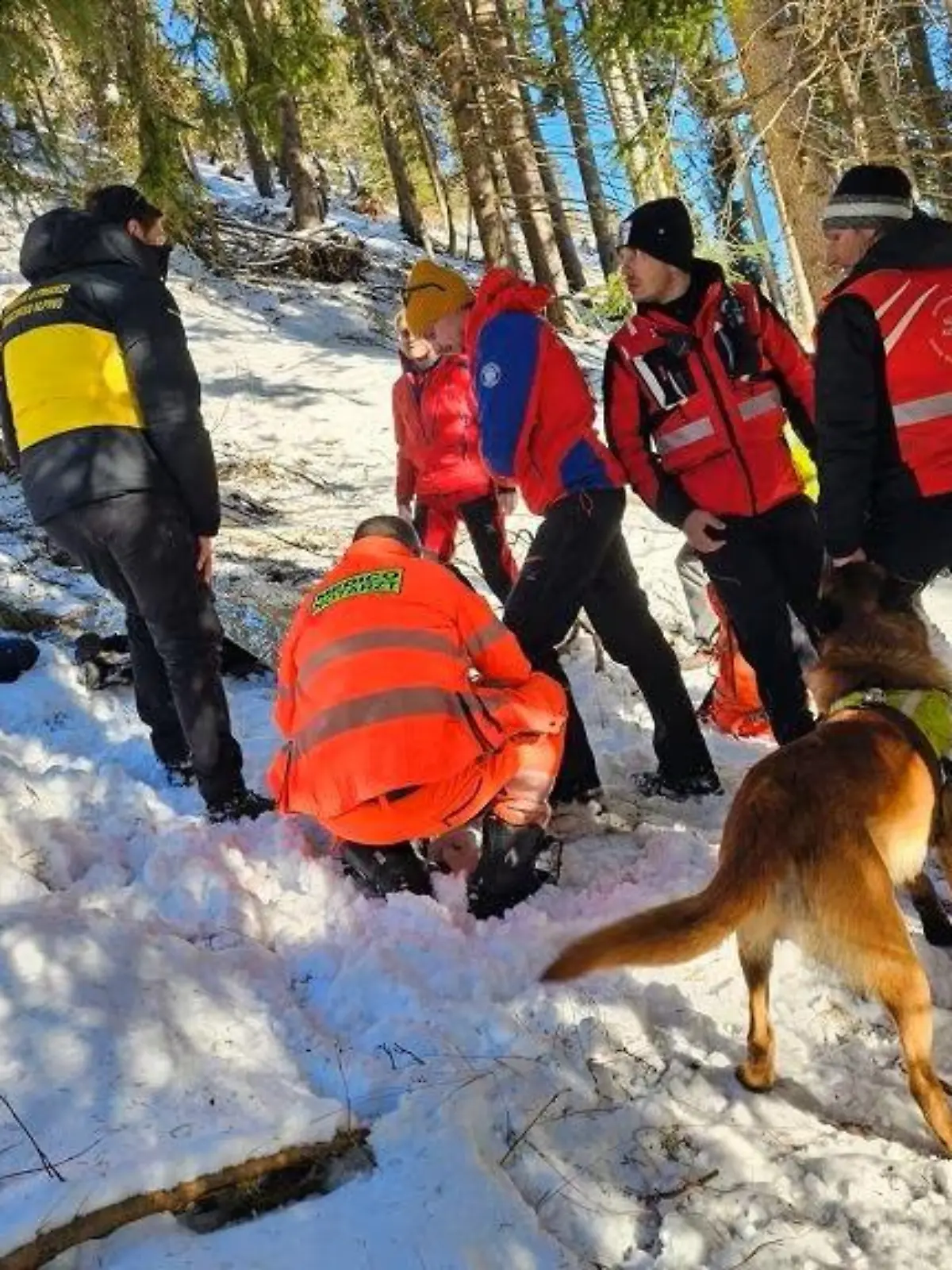 Innichen (Südtirol): Deutsche Urlauberin tot