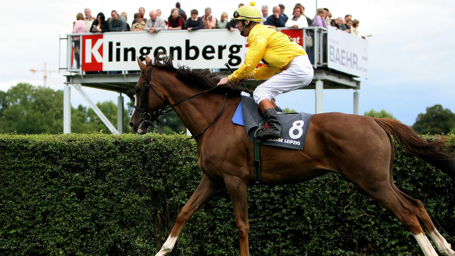 Bildnummer: 01668162  Datum: 13.08.2005  Copyright: imago/Suedraumfoto
Jockey Jozef Bojko (Polen) auf So Royal - Aufgalopp; Josef, Joseph, Vdig, quer, Zuschauer, Publikum Galopp 2005, Galopprennen, Galopprennsport, Reiten, Reitsport, Pferderennen, Pferderennsport Leipzig-Scheibenholz Dynamik,  Pferdesport Herren Einzel Einzelbild Aktion Personen Tiere
