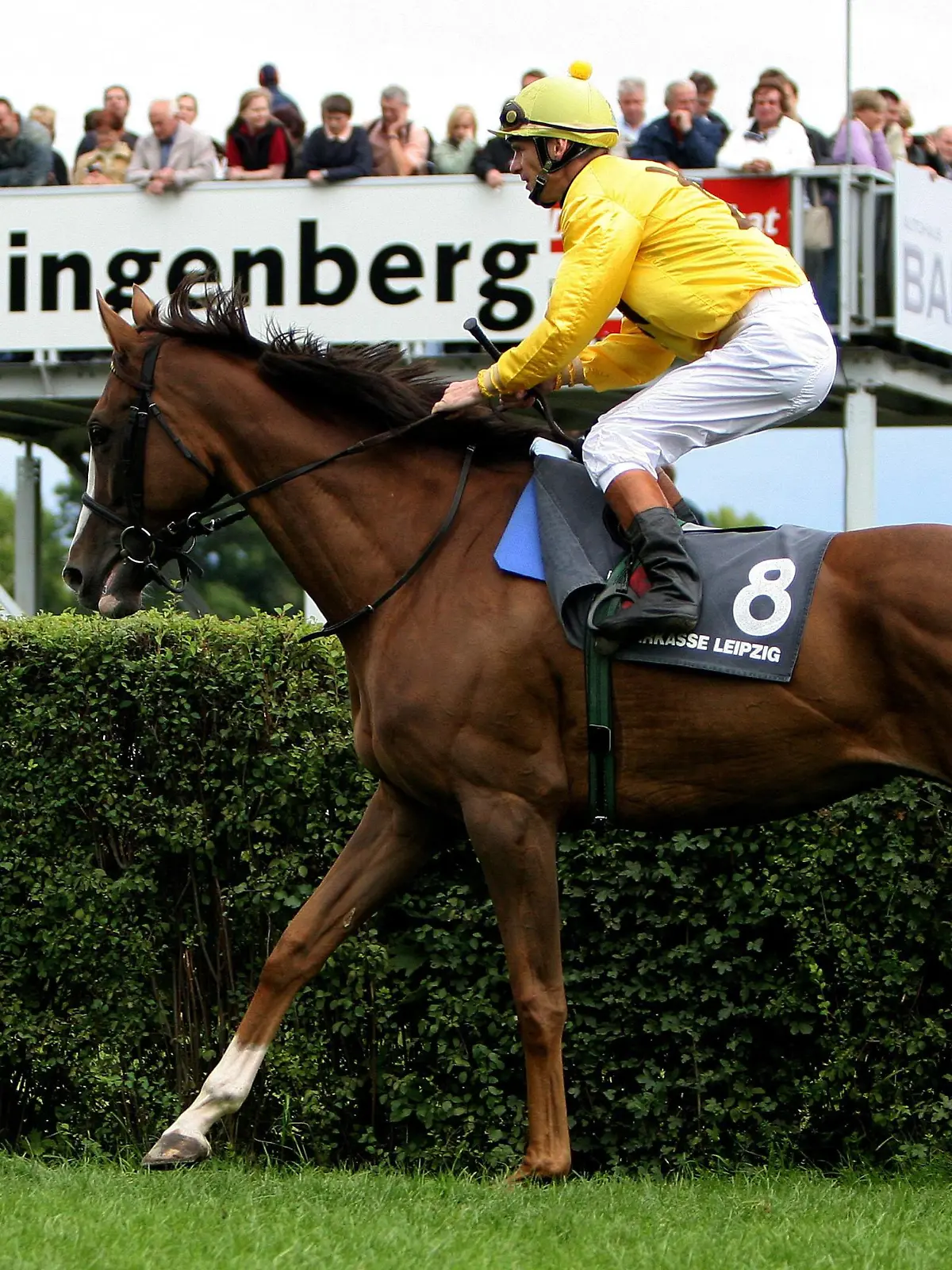 Bildnummer: 01668162  Datum: 13.08.2005  Copyright: imago/Suedraumfoto
Jockey Jozef Bojko (Polen) auf So Royal - Aufgalopp; Josef, Joseph, Vdig, quer, Zuschauer, Publikum Galopp 2005, Galopprennen, Galopprennsport, Reiten, Reitsport, Pferderennen, Pferderennsport Leipzig-Scheibenholz Dynamik,  Pferdesport Herren Einzel Einzelbild Aktion Personen Tiere