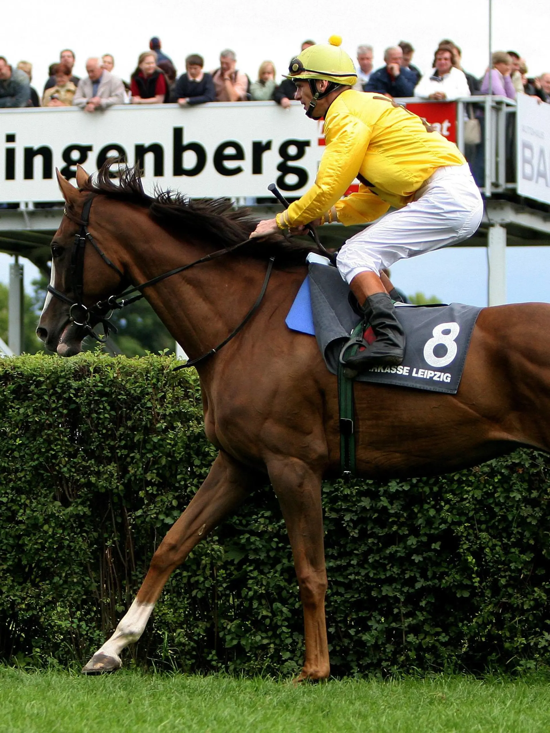 Bildnummer: 01668162  Datum: 13.08.2005  Copyright: imago/Suedraumfoto
Jockey Jozef Bojko (Polen) auf So Royal - Aufgalopp; Josef, Joseph, Vdig, quer, Zuschauer, Publikum Galopp 2005, Galopprennen, Galopprennsport, Reiten, Reitsport, Pferderennen, Pferderennsport Leipzig-Scheibenholz Dynamik,  Pferdesport Herren Einzel Einzelbild Aktion Personen Tiere