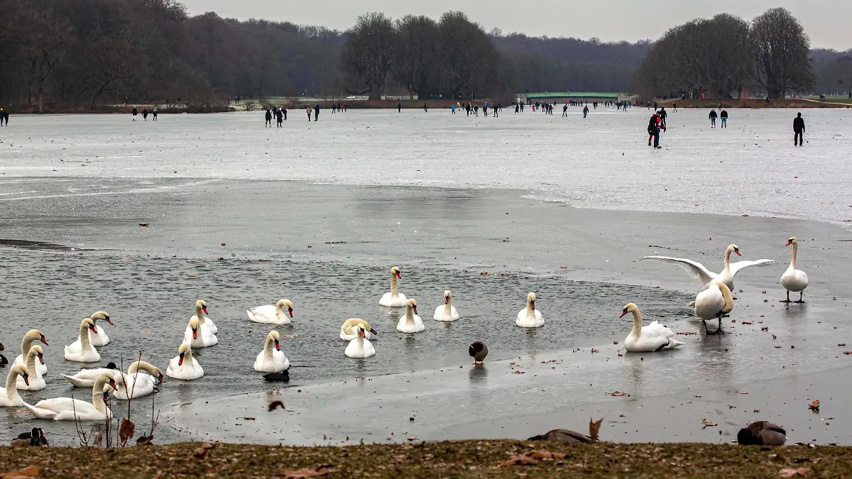 Schlittschuhfahrer und Spaziergänger sind auf dem zugefrorenen Decksteiner Weiher im Stadtwald in Köln unterwegs. Die Statd warnt wegen steigender Temperaturen vor dem Betreten der Eisfläche. Winterimpressionen in Köln *** Skaters and walkers are on the frozen Decksteiner Weiher in the Stadtwald in Cologne The Statd warns against entering the ice surface because of rising temperatures Winter impressions in Cologne