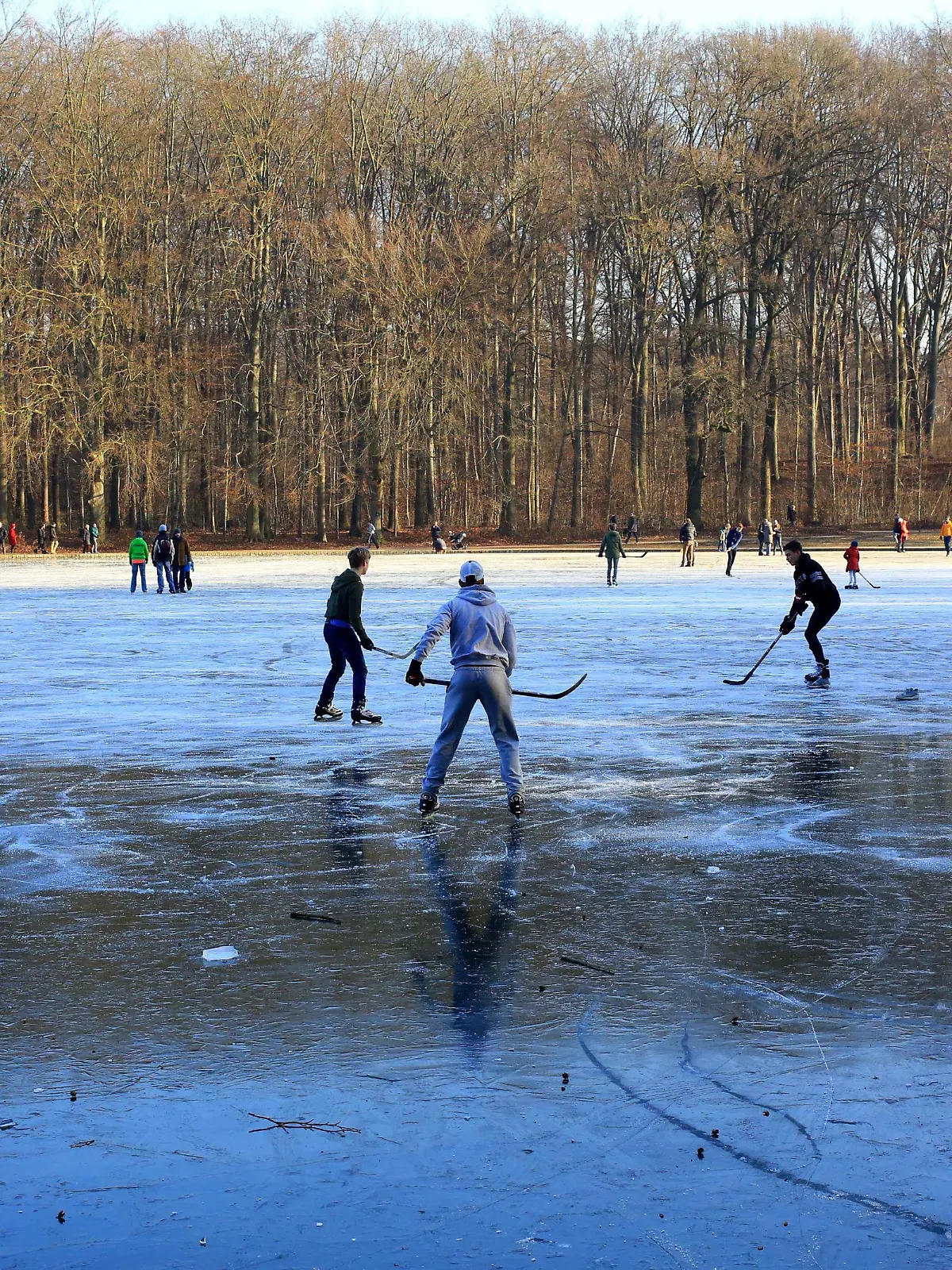 Spaziergänger und Eisläufer am und auf dem teilweise zugefrorenen Adenauer-Weiher am Sonntag, 22. Januar 2017, in Köln-Müngersdorf. Gleich in mehreren NRW-Städten mussten die Rettungskräfte der Feuerwehren am Wochenende ausrücken, um nach möglicherweise Eingebrochenen an zugefrorenen Seen zu suchen. | Verwendung weltweit