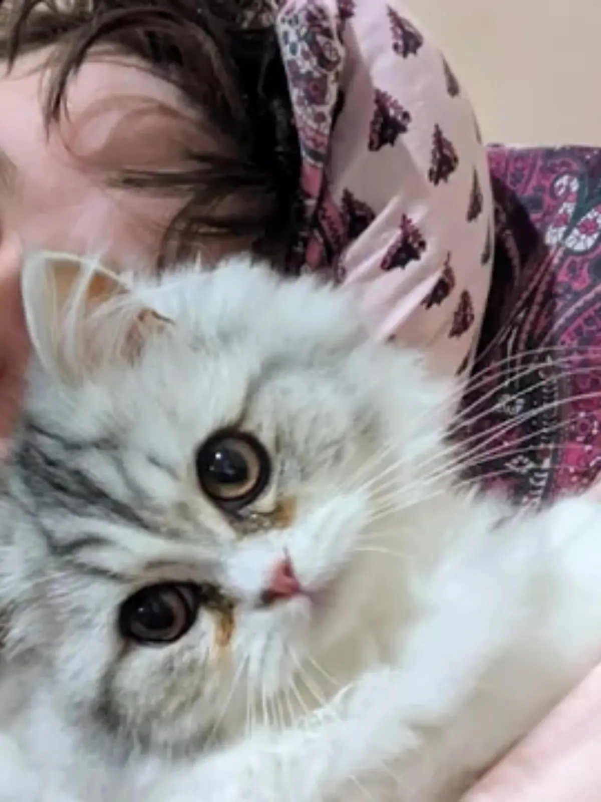 Katze Maggy scheint eine besondere Fähigkeit zu besitzen: Sie erkennt, wenn es ihrem Frauchen schlecht geht und ein epileptischer Anfall droht. Molly Brooke leidet seit vielen Jahren unter der Krankheit – seit sie ihr Kätzchen hat, ist sie glücklich, einen so wertvollen Freund gefunden zu haben. Ihre Geschichte zeigen wir euch im Video.