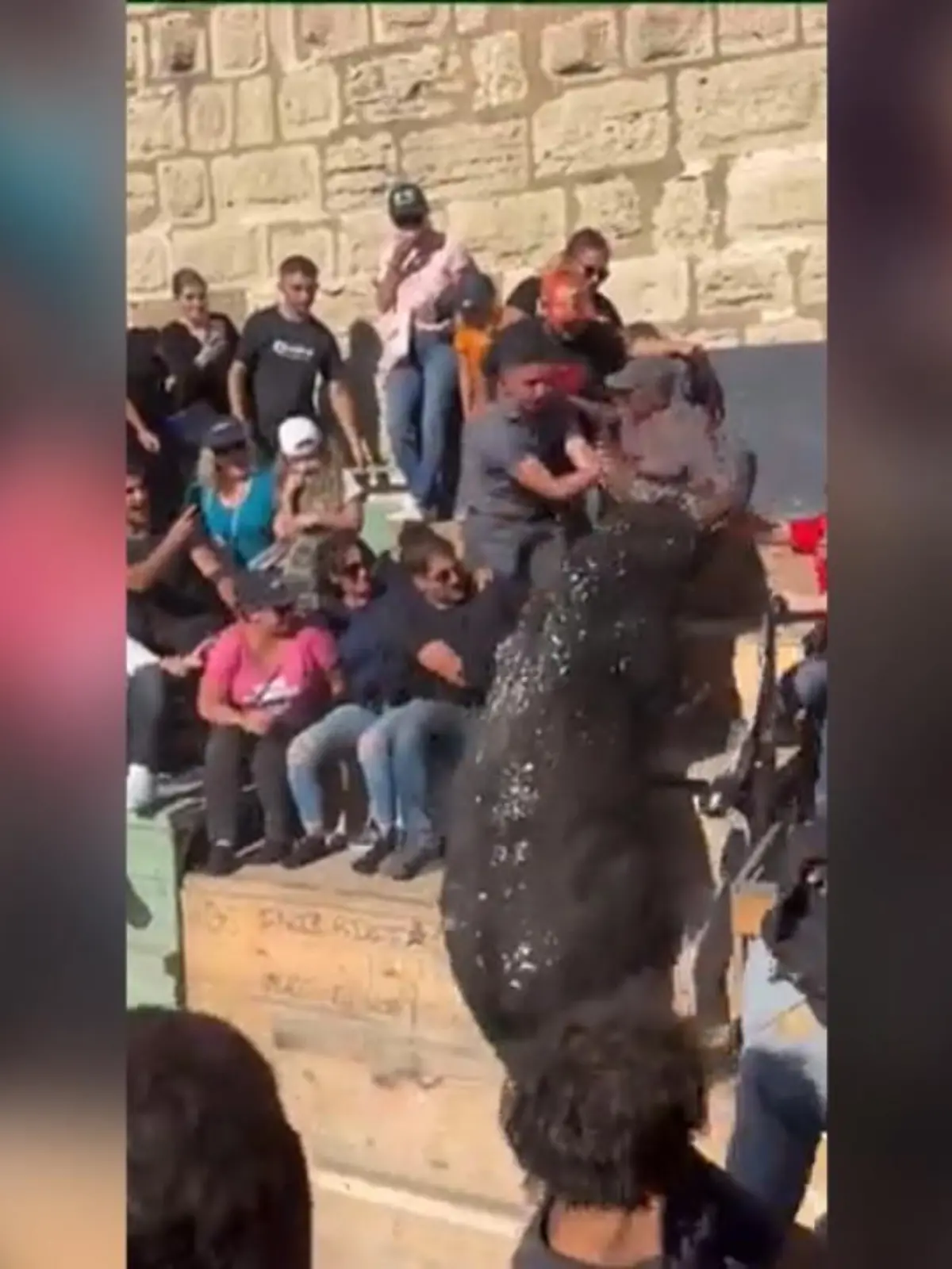 In Frankreich ist ein Stier bei einem traditionellen Rennen direkt ins Publikum gerannt. Dabei schleuderte er eine Frau auf den Boden. Die dramatischen Bilder sehen Sie im Video.