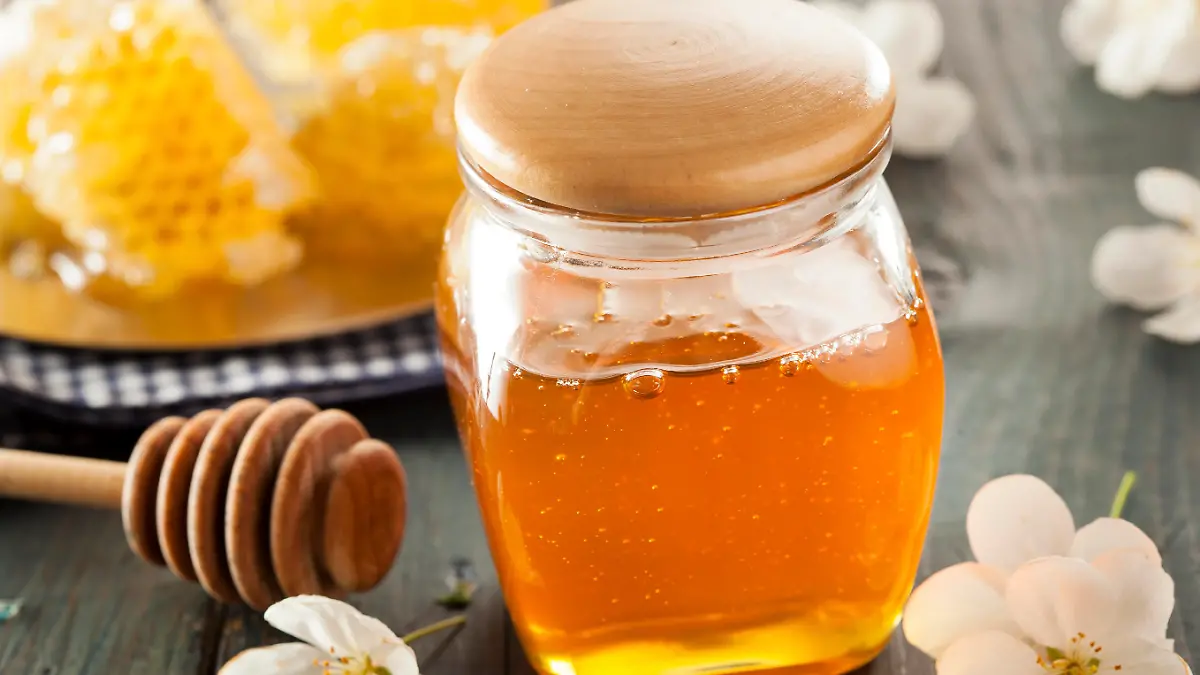 Organic Raw Golden Honey Comb on a Background