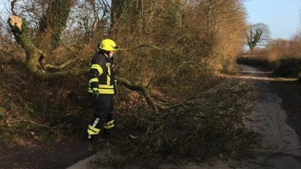 Ein Feuerwehrmann sägt einen Baum kaputt der auf eine Straße gefallen ist.