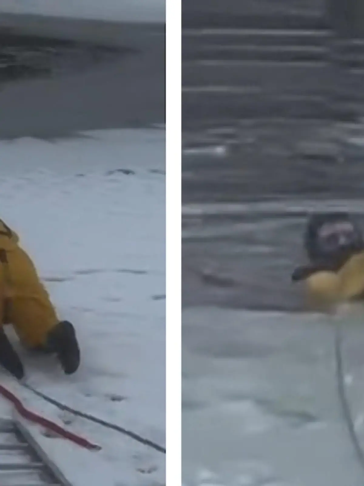 Feuerwehrmann Logan aus Utah wagt sich in ein Eisloch, um Hund Bob aus einem zugefrorenen Teich herauszufischen. Seine Familie bangt am Ufer um sein Überleben - im Video.