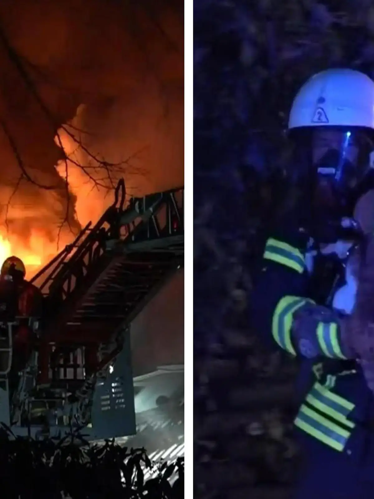 Heftiger Brand am späten Abend: Plötzlich steht der Dachstuhl eines Einfamilienhauses in Delmenhorst in Flammen. Die Bewohner können sich in Sicherheit bringen - doch ein kleiner Vierbeiner ist noch in dem Haus!
