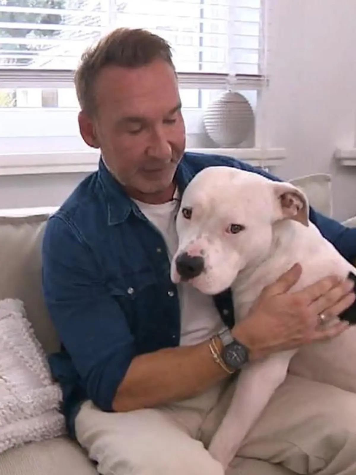 Von 80 Euro rauf auf 960 Euro! Fernseh- und Radiomoderator Jochen Bendel ist entsetzt, wie viel er jährlich für seinen American Staffordshire Terrier Snoopy bezahlen soll und geht dagegen vor.