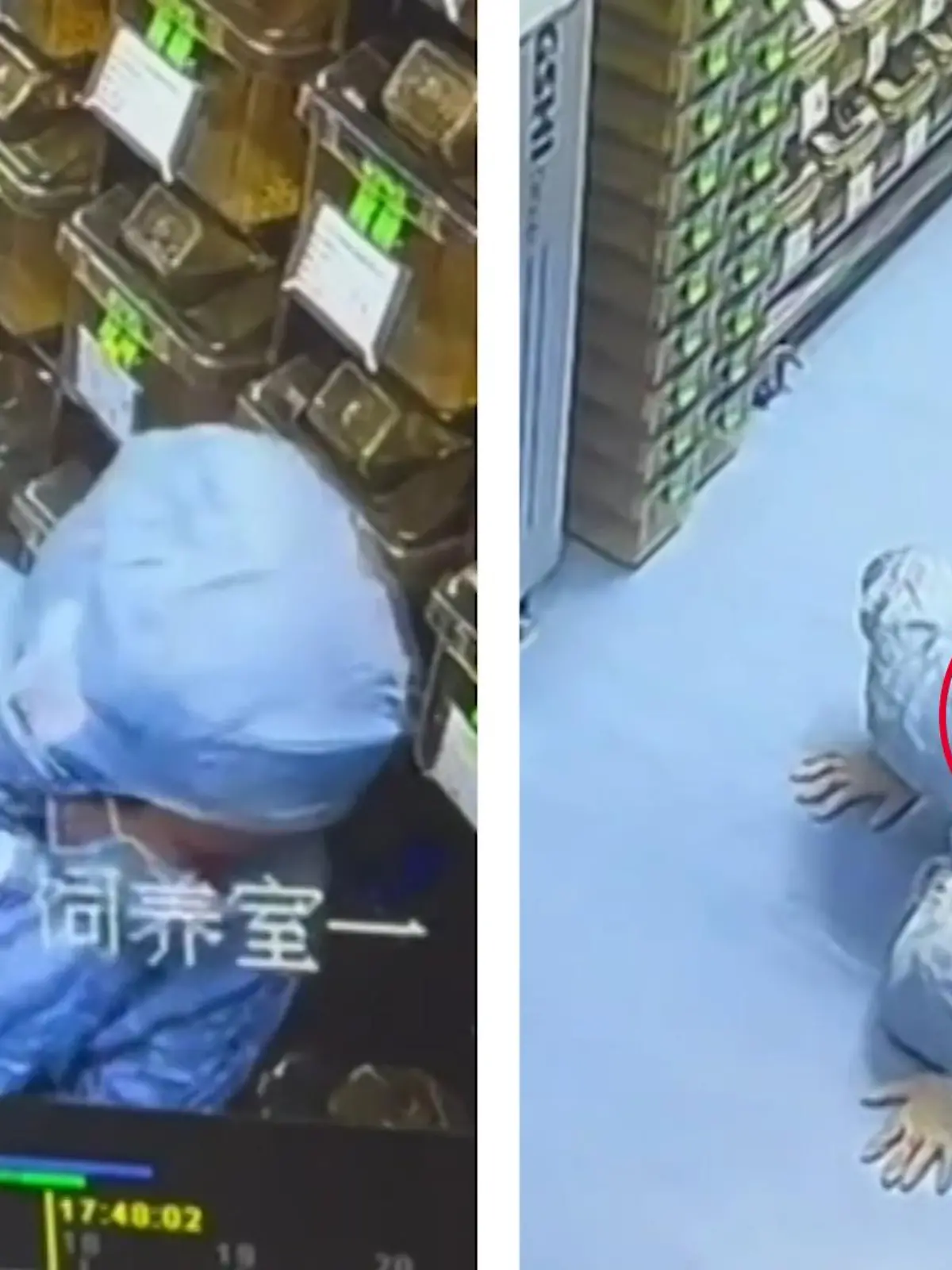 Als eine Laborantin aus China die Mäuse zum Wiegen aus dem Käfig nimmt, entkommen drei von ihnen. Sie sucht sie überall, doch kann sie einfach nicht finden. Dabei ist zumindest eine von ihnen gar nicht mal so weit von ihr entfernt - im Video.