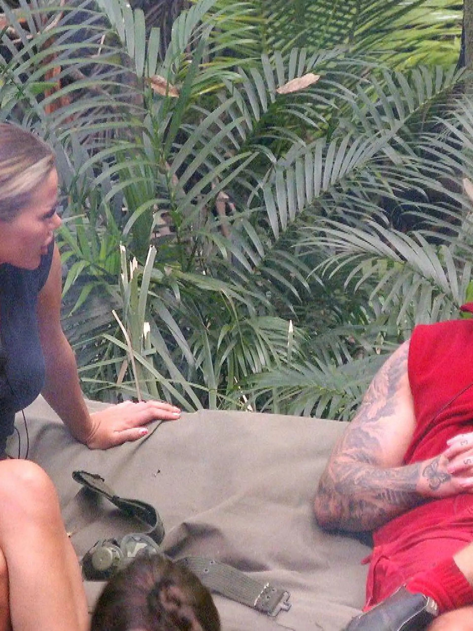 ACHTUNG: SPERRFRIST FÜR ALLE MEDIEN BIS ZUM SHOWENDE, SAMSTAG, 20. JANUAR 2024, 22:15 UHR !!! Tag 2 im Camp. Am Morgen gibt es Streit zwischen Kim Virginia und Mike Heiter.

+++ Die Verwendung des sendungsbezogenen Materials ist nur mit dem Hinweis und Verlinkung auf RTL+ gestattet. +++
