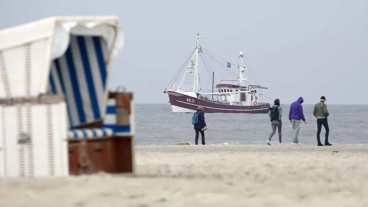 Der Krabbenkutter \Hindenburg SD11\ fährt auf der Nordsee am Strand von St. Peter-Ording entlang.