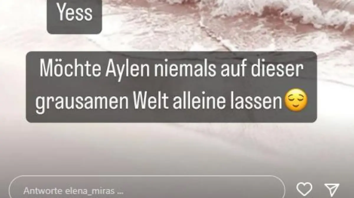 Elena Miras Antwort auf Instagram.