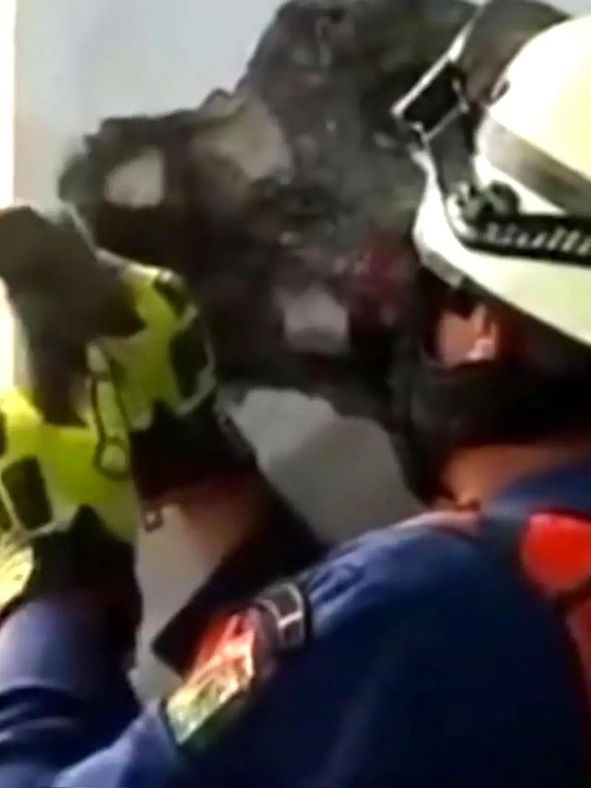 Auf einmal kommt ein herzzerreißendes Miauen aus der Wand. Ein Ehepaar in Indonesien wurde da hellhörig und vermutet eine Katze in der Wand. Deshalb rufen sie direkt die Feuerwehr. Um das Kätzchen zu befreien, muss ein Riesenloch in die Wand gehämmert werden - eine ganz schön teure Rettungsaktion, die wir im Video zeigen. 