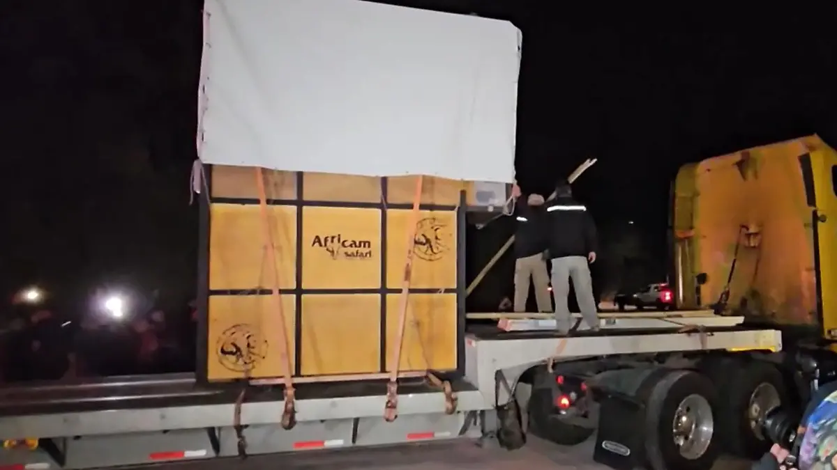 Eine große Transportbox auf einem Tieflader.