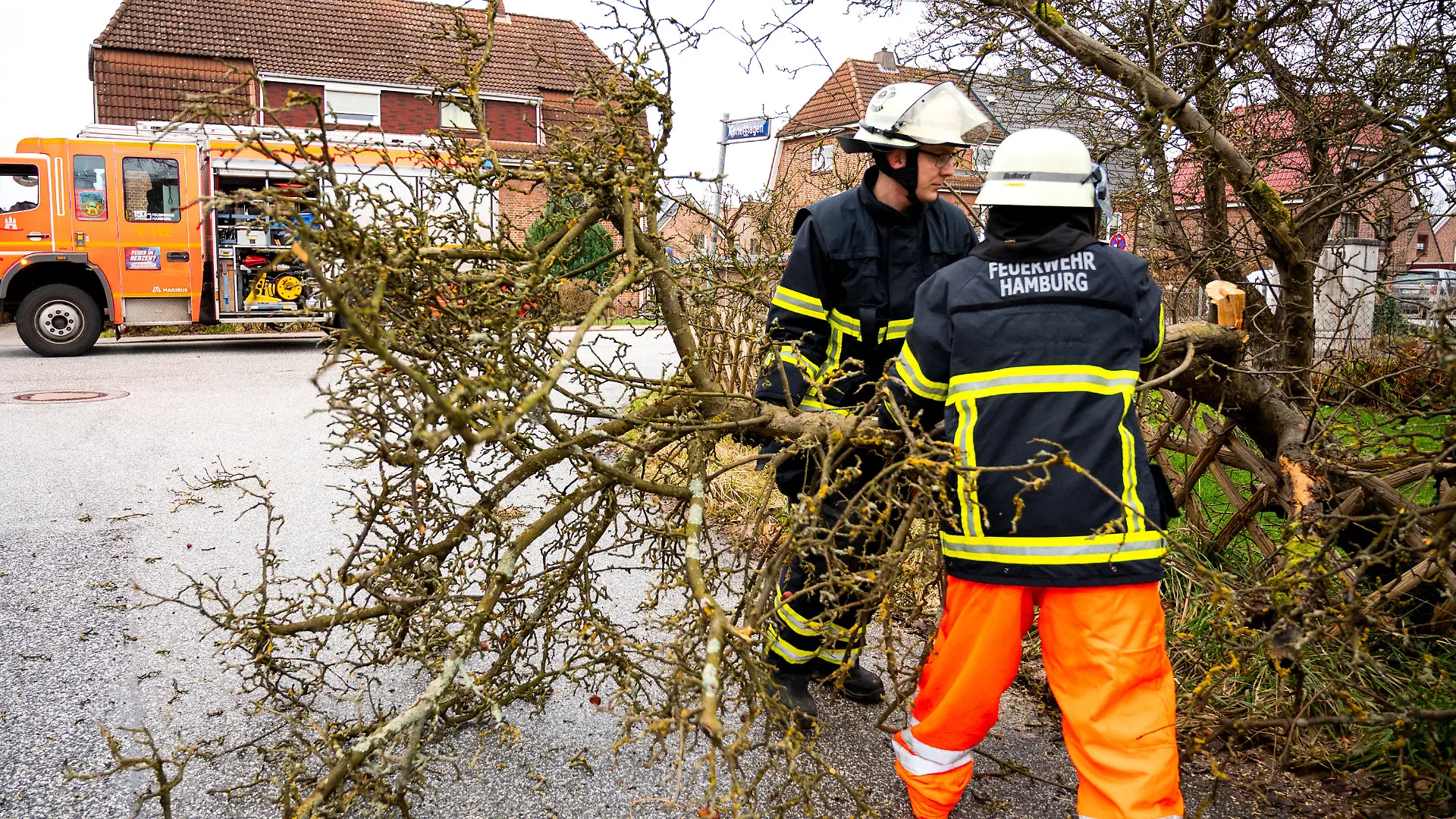 24.01.2024, Hamburg: Feuerwehrleute räumen im Stadtteil Nettelnburg einen Ast von einem auf die Straße gekippten Baum beiseite. In weiten Teilen Deutschlands herrscht stürmisches Wetter. An Nord- und Ostsee wurden bereits die Fahrpläne mehrerer Fährverbindungen durcheinandergewirbelt. Foto: Daniel Bockwoldt/dpa +++ dpa-Bildfunk +++