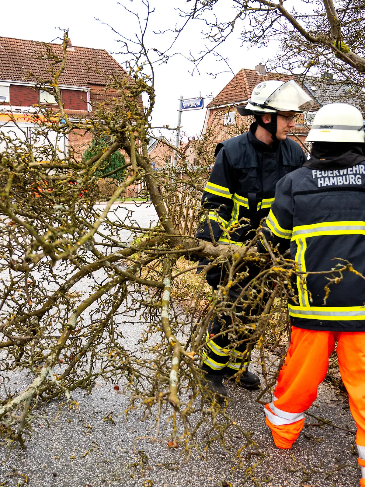 24.01.2024, Hamburg: Feuerwehrleute räumen im Stadtteil Nettelnburg einen Ast von einem auf die Straße gekippten Baum beiseite. In weiten Teilen Deutschlands herrscht stürmisches Wetter. An Nord- und Ostsee wurden bereits die Fahrpläne mehrerer Fährverbindungen durcheinandergewirbelt. Foto: Daniel Bockwoldt/dpa +++ dpa-Bildfunk +++