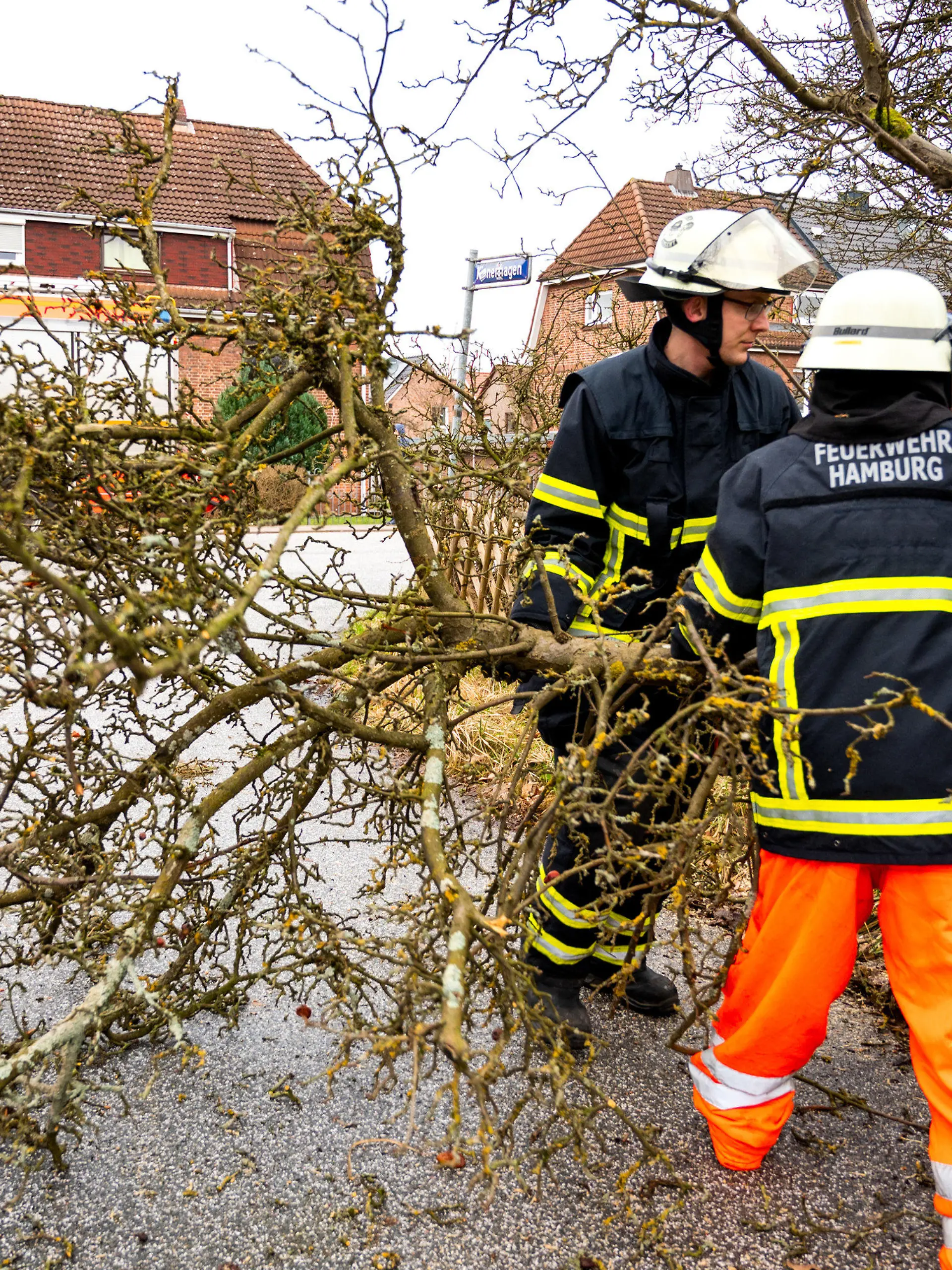 24.01.2024, Hamburg: Feuerwehrleute räumen im Stadtteil Nettelnburg einen Ast von einem auf die Straße gekippten Baum beiseite. In weiten Teilen Deutschlands herrscht stürmisches Wetter. An Nord- und Ostsee wurden bereits die Fahrpläne mehrerer Fährverbindungen durcheinandergewirbelt. Foto: Daniel Bockwoldt/dpa +++ dpa-Bildfunk +++