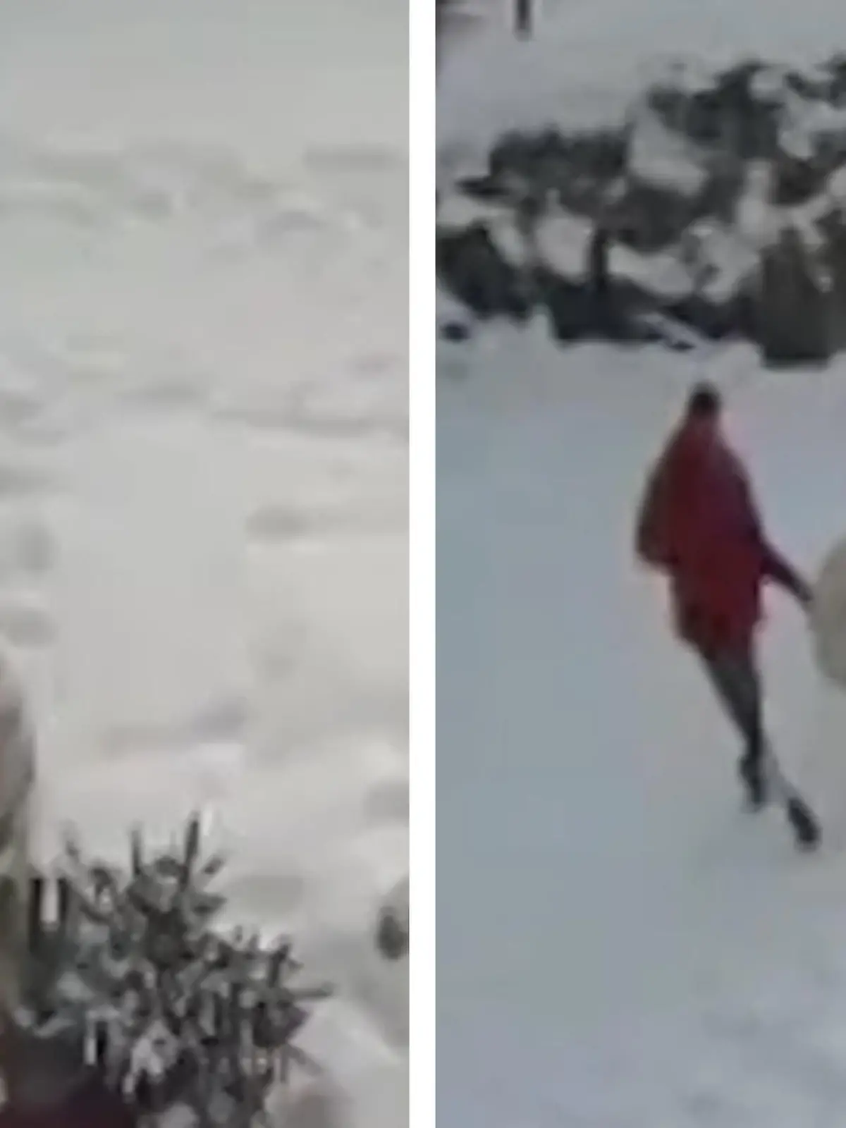 Wie dreist ist das denn bitte? Diebe entführen hier vor dem Hotel Rasmus in Kitzbühel eiskalt einen Schneemann! Doch ihre Tat bleibt nicht unbemerkt und wird noch dazu  von einer Überwachungskamera festgehalten! Das Hotel bittet um Hinweise. Den cold case, seht ihr im Video.