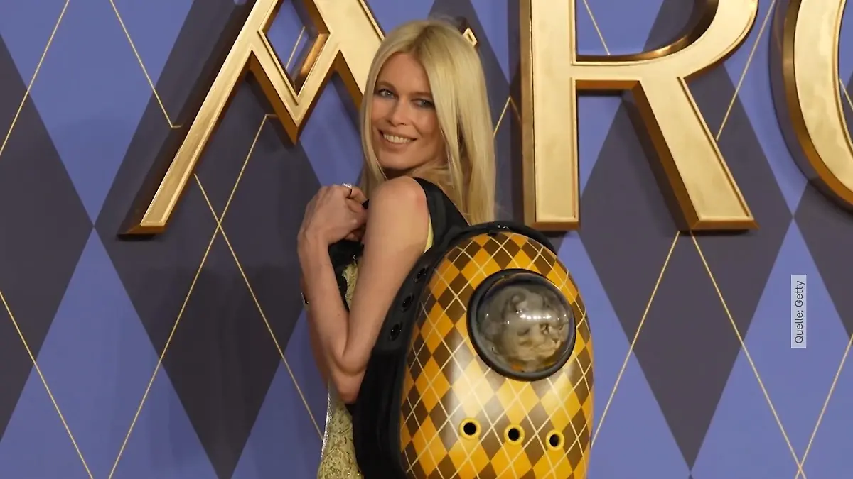 Claudia Schiffer kommt mit Kater zur Filmpremiere Nicht, was ihr jetzt denkt!