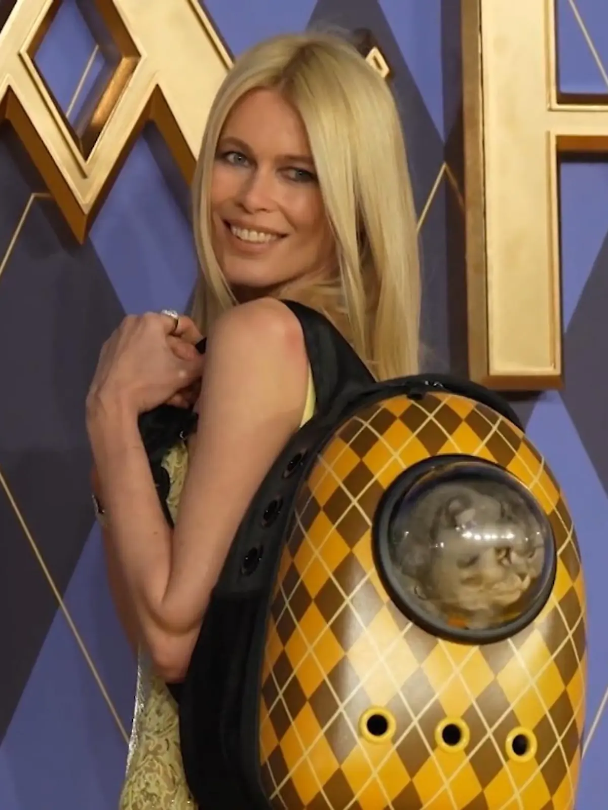 Bild zu: "Claudia Schiffer kommt mit Kater zur Filmpremiere"