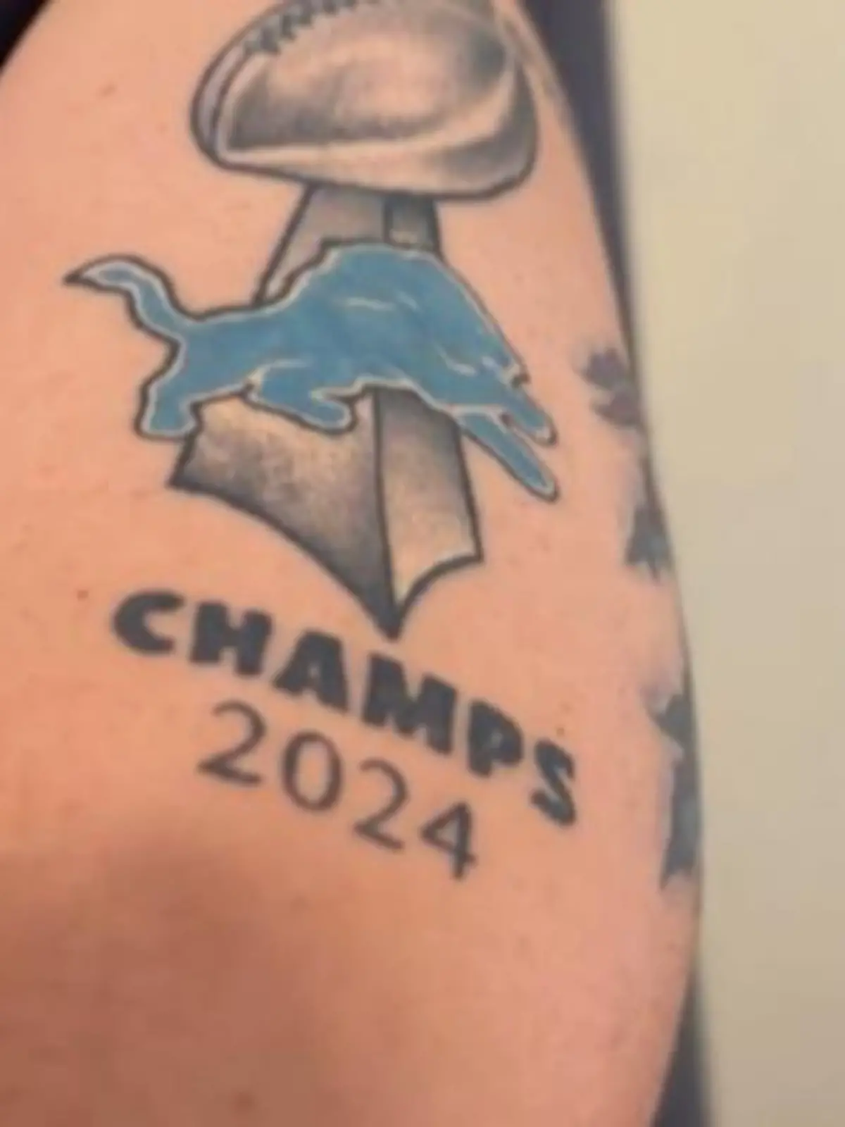 Detroit Lions