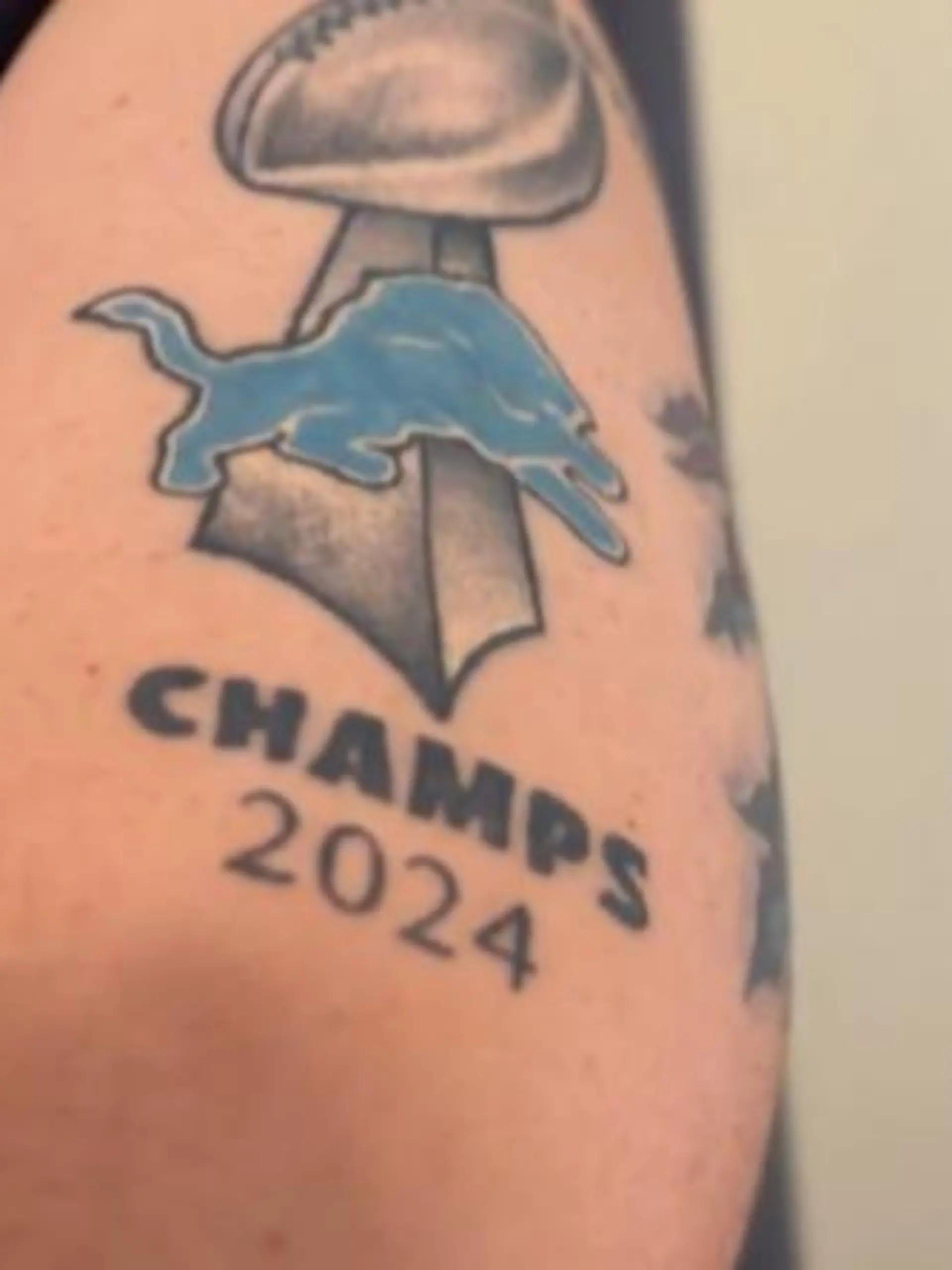 Detroit Lions