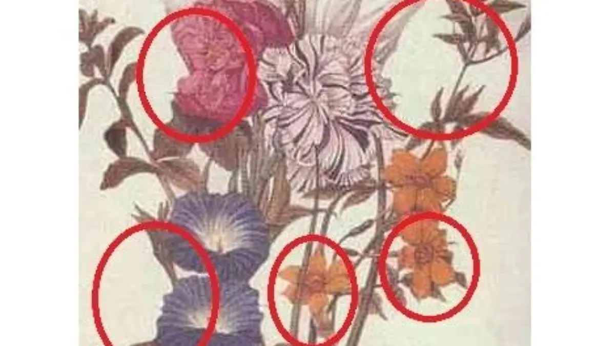Suchbild-Blumen