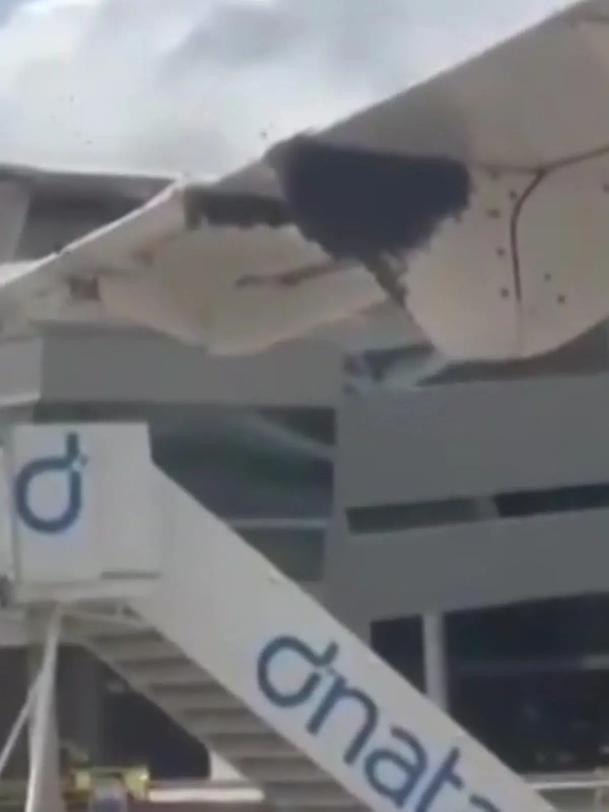Ein brasilianisches Flugzeug landet in São Gonçalo do Amarante - doch die Passagiere können nicht aussteigen. Ein Bienenschwarm besiedelt einen Flugzeugträger. Bis die Insekten von der Feuerwehr beseitigt werden konnten, sind 90 Minuten vergangen. Wie die Feuerwehr die Bienen von dem Flügel befreit hat, seht ihr im Video.