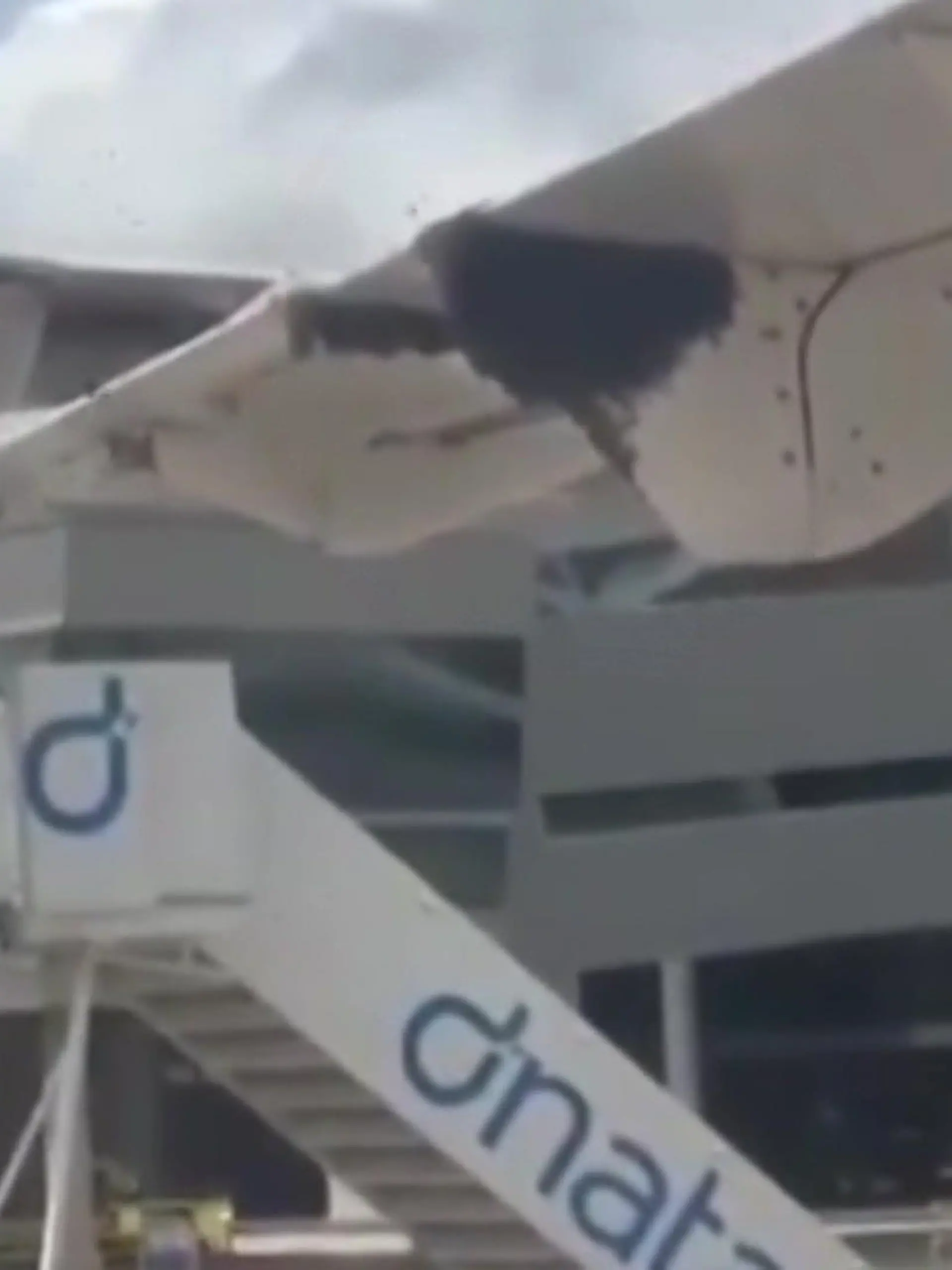 Ein brasilianisches Flugzeug landet in São Gonçalo do Amarante - doch die Passagiere können nicht aussteigen. Ein Bienenschwarm besiedelt einen Flugzeugträger. Bis die Insekten von der Feuerwehr beseitigt werden konnten, sind 90 Minuten vergangen. Wie die Feuerwehr die Bienen von dem Flügel befreit hat, seht ihr im Video.