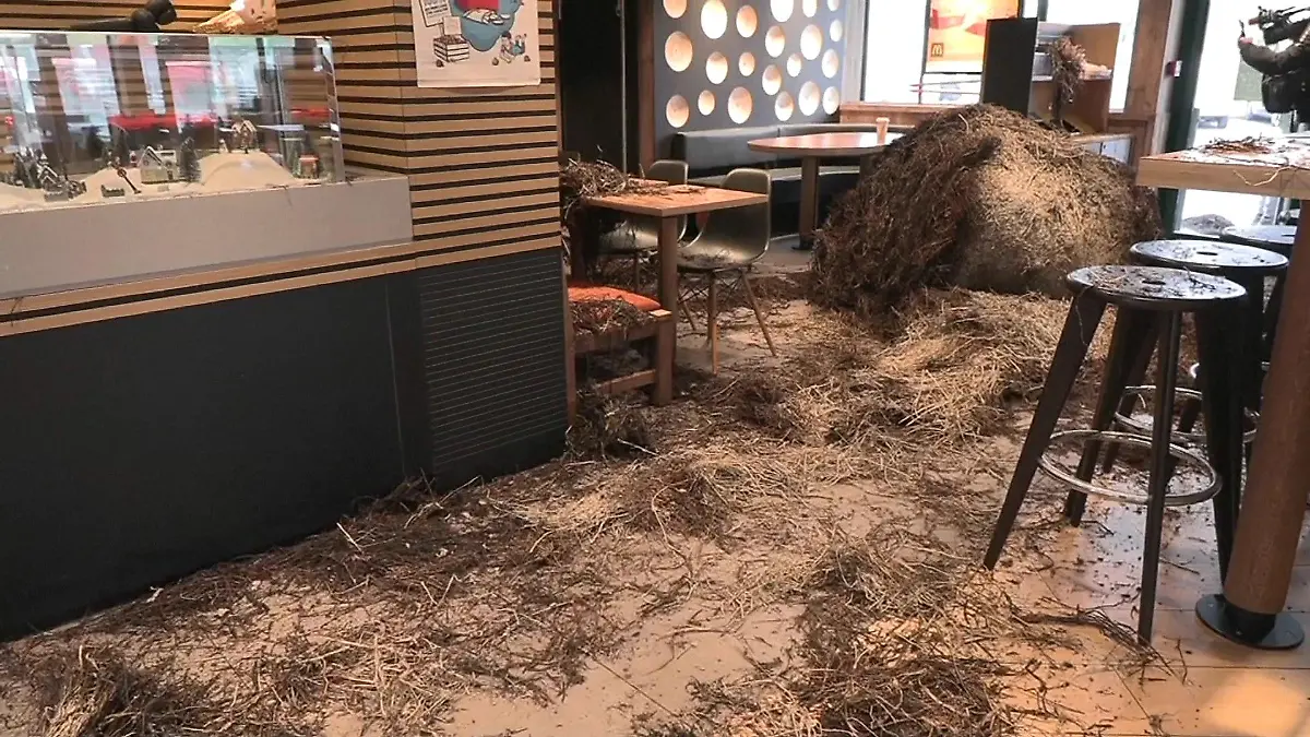 Bauern in Frankreich haben in einer Mc-Donalds Filiale nicht nur ihren Frust abgeladen - sie verwüsteten das Schnellrestaurant.