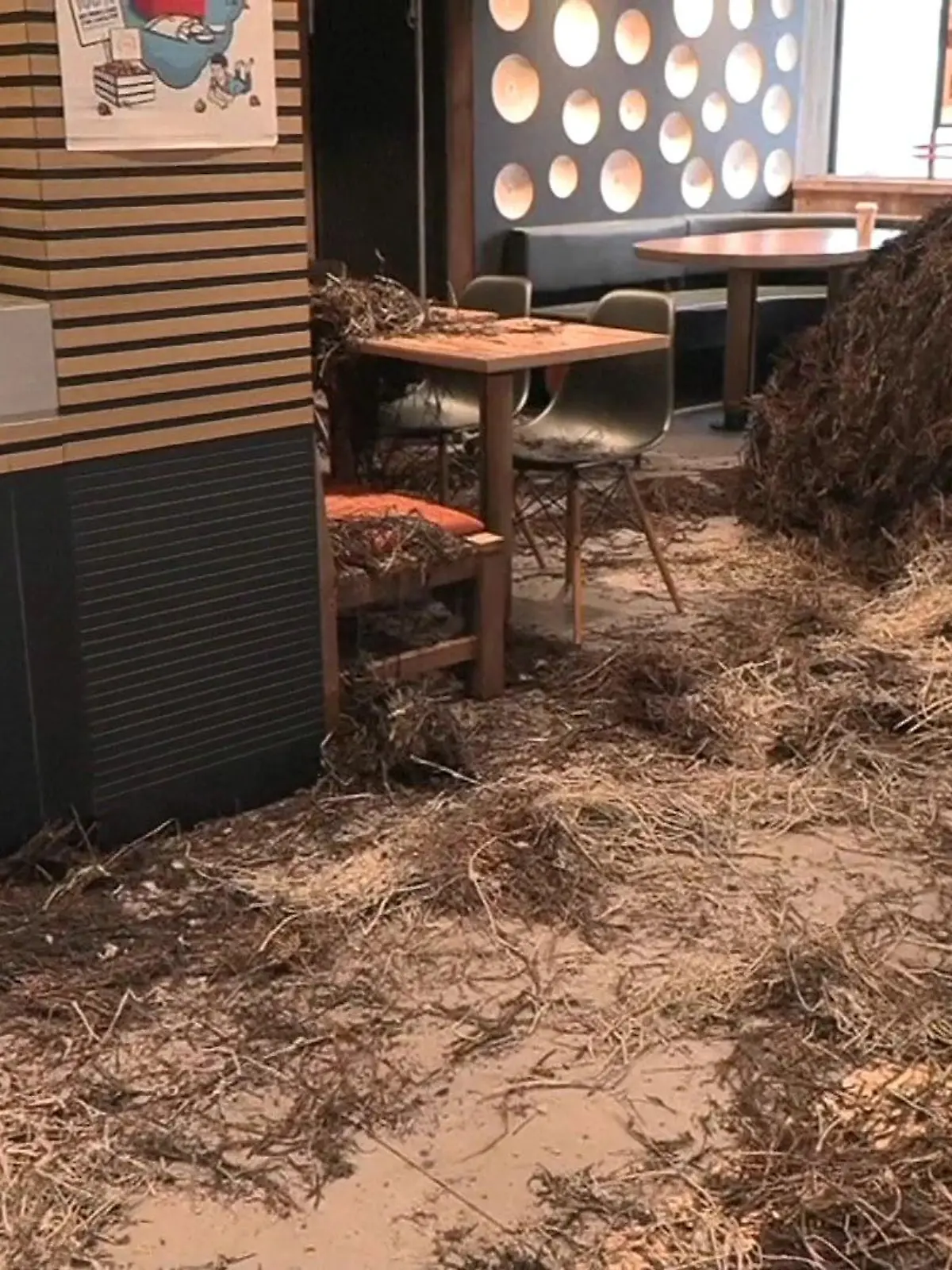 Bauern in Frankreich haben in einer Mc-Donalds Filiale nicht nur ihren Frust abgeladen - sie verwüsteten das Schnellrestaurant.