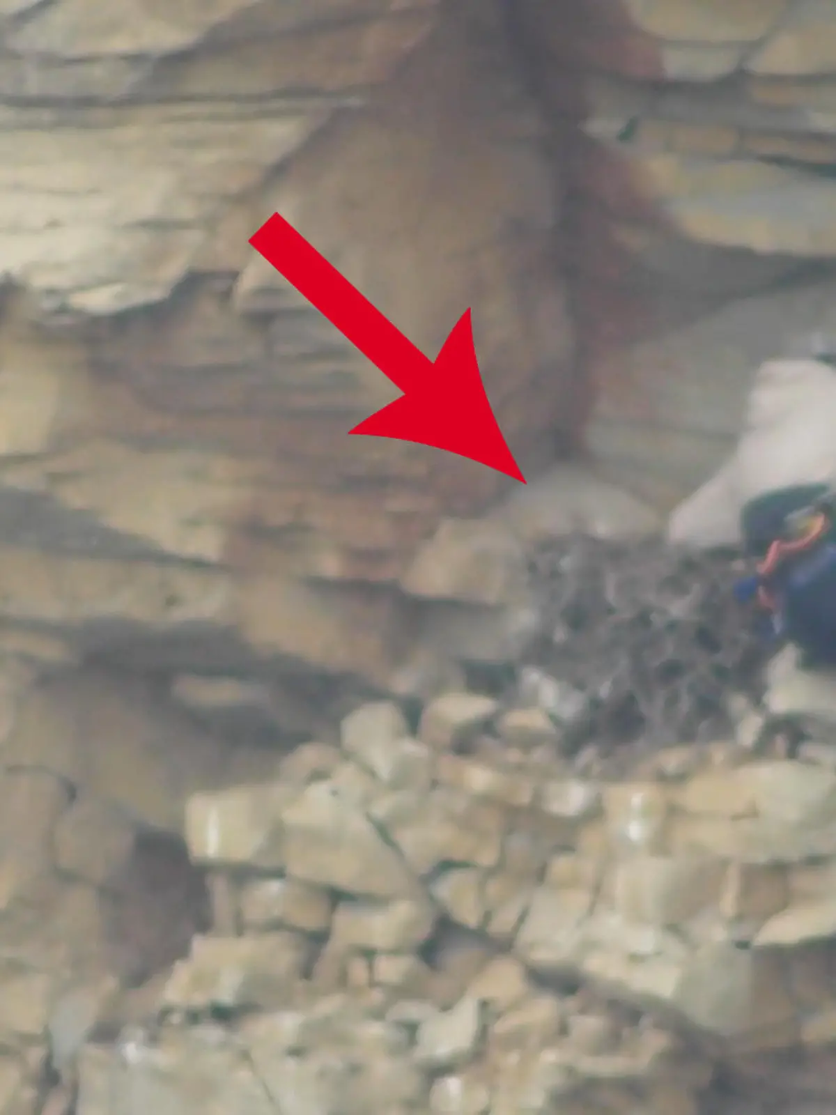 In Derbyshire in England seilt sich ein Mann eine steile Felswand hinab, um an ein Nest zu gelangen. Er hat es auf die Eier eines Wanderfalken abgesehen, denn die sind bei kriminellen Sammlern sehr beliebt. Von dem Erlös will er seine Drogensucht finanzieren. Im Video seht ihr, welche Strafe er bekommt.