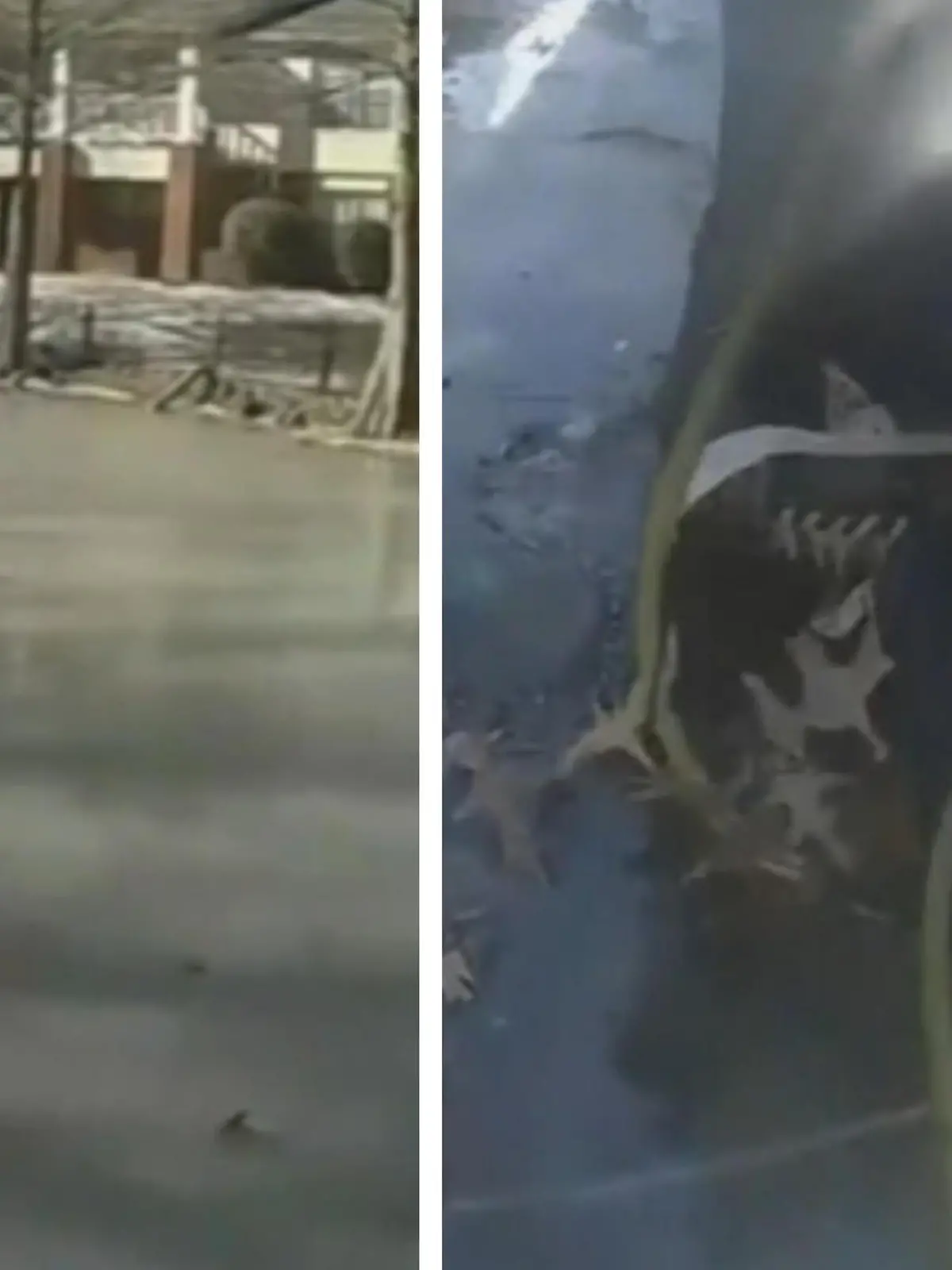 Ein Polizist aus Jonesboro im US-Bundesstaat Arkansas eilt einem Jungen zu Hilfe. Das Kind ist durch einen eingefrorenen Teich gestürzt und konnte sich nicht mehr aus dem eiskalten Wasser befreien. Troy Ellison wagt sich auf Knien und Händen zu dem weinenden Jungen heran - und schafft es, ihn herauszuziehen. Wegen Unterkühlung wird das Kind in ein Krankenhaus gebracht.