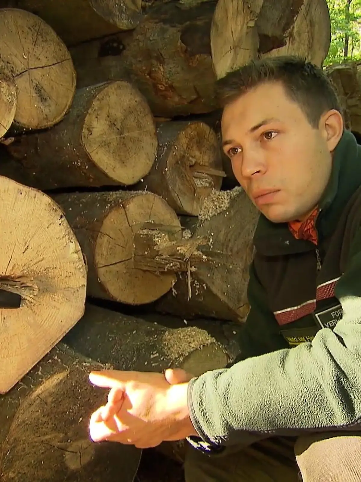 Bild zu: "Mit High-Tech gegen Holzdiebstahl"