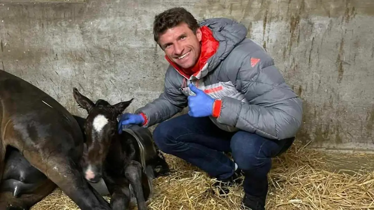 Da grinst der Müller! Stolz posiert er neben seinem Fohlen.