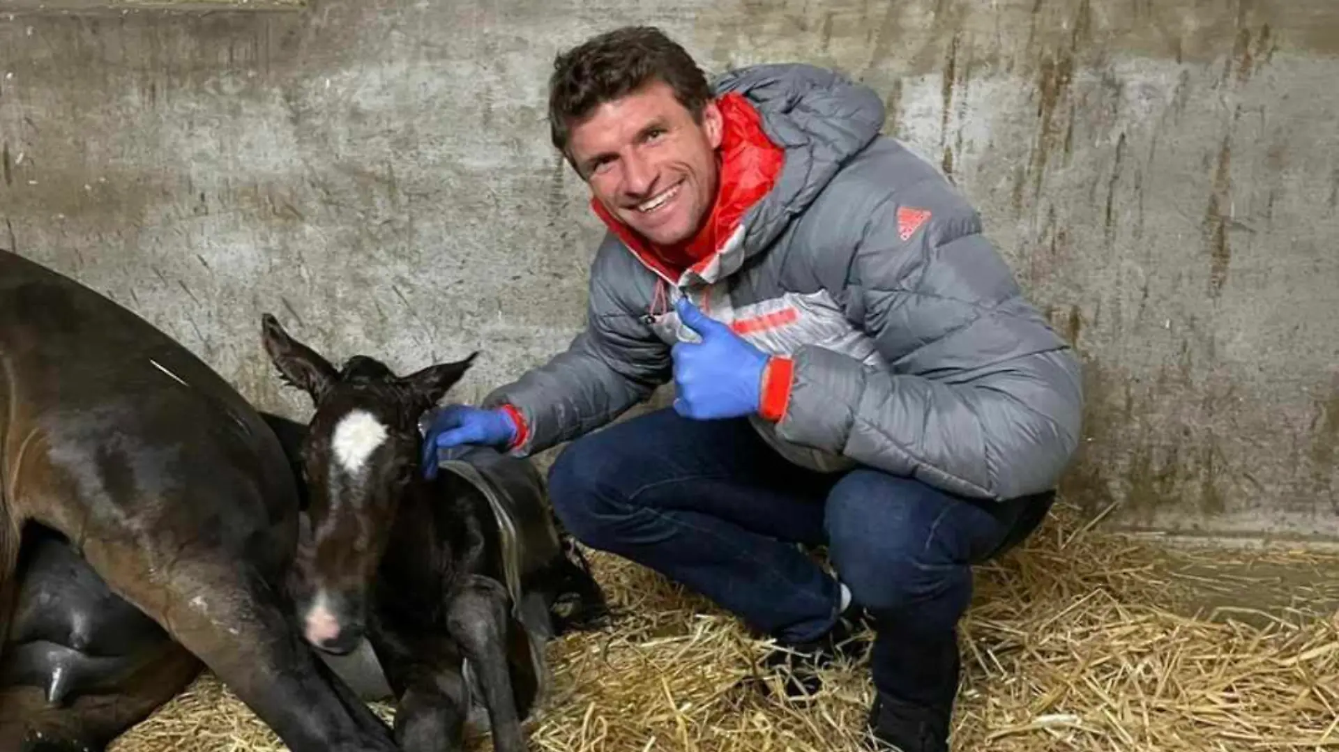 Da grinst der Müller! Stolz posiert er neben seinem Fohlen.