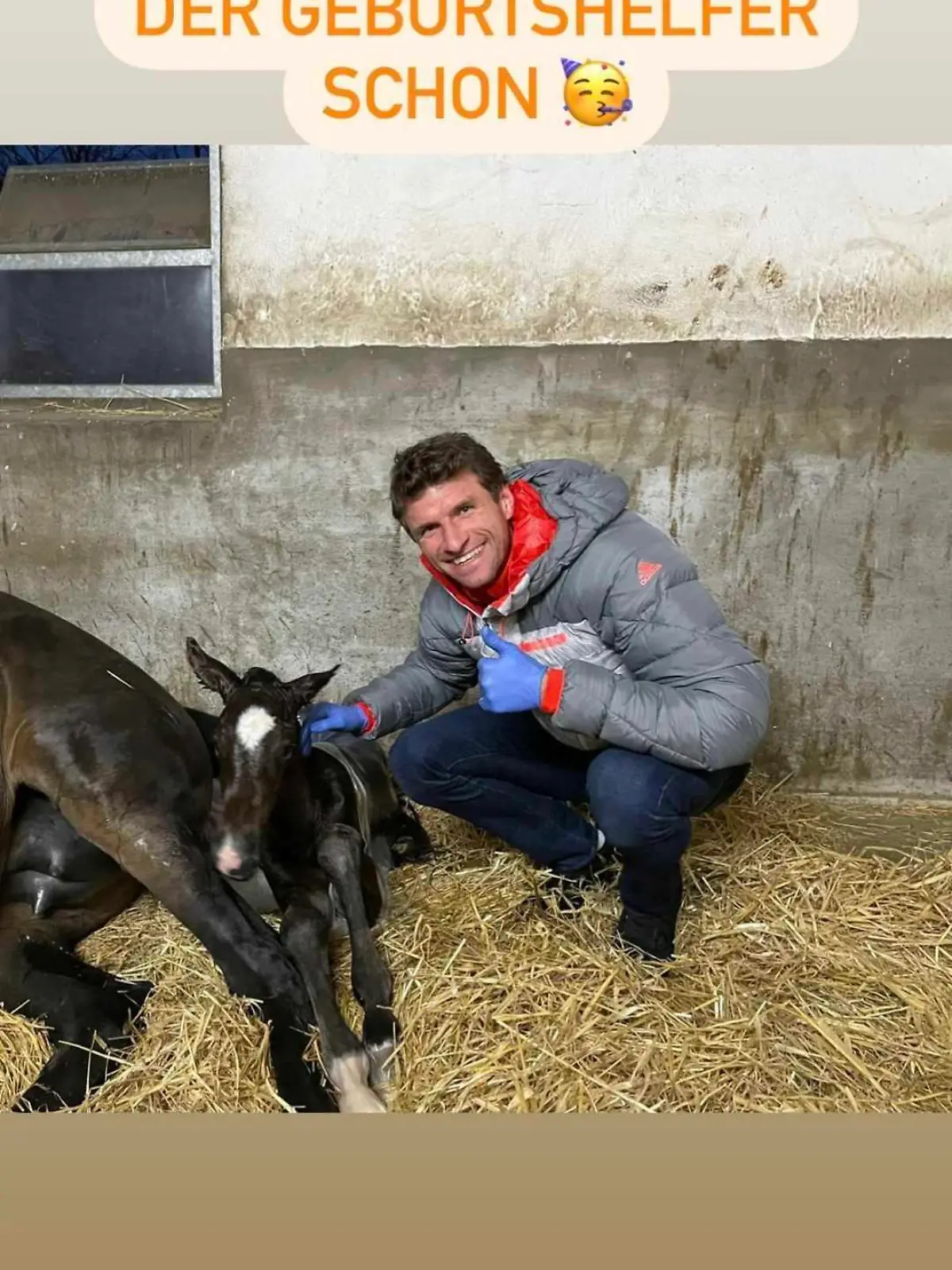 Da grinst der Müller! Stolz posiert er neben seinem Fohlen.