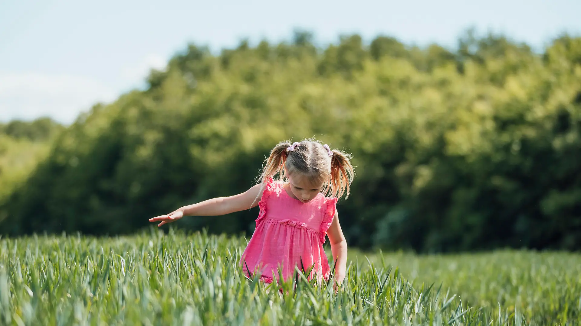A young girl standing in an agricultural field and looking down.