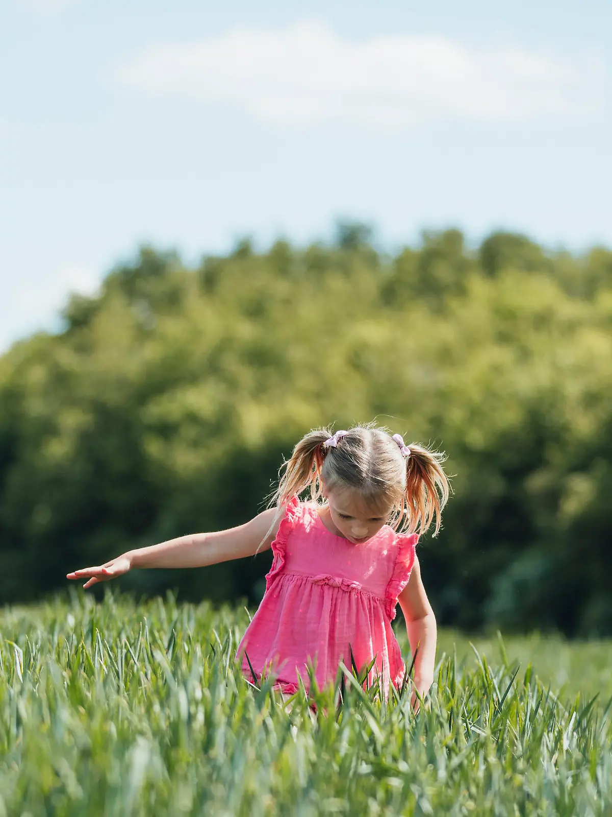 A young girl standing in an agricultural field and looking down.