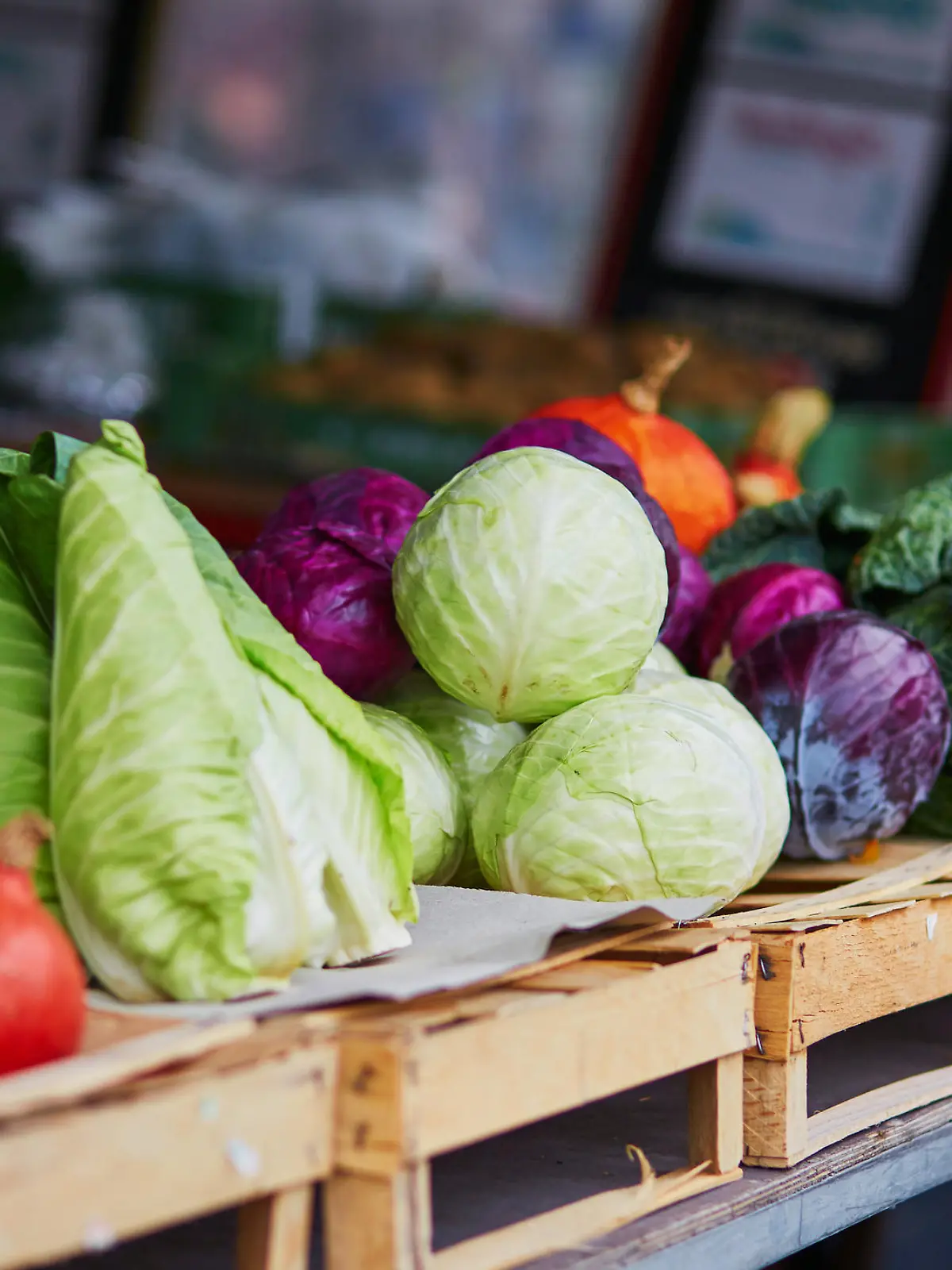 Spitzkohl, Grünkohl und anderes Wintergemüse auf dem Markt